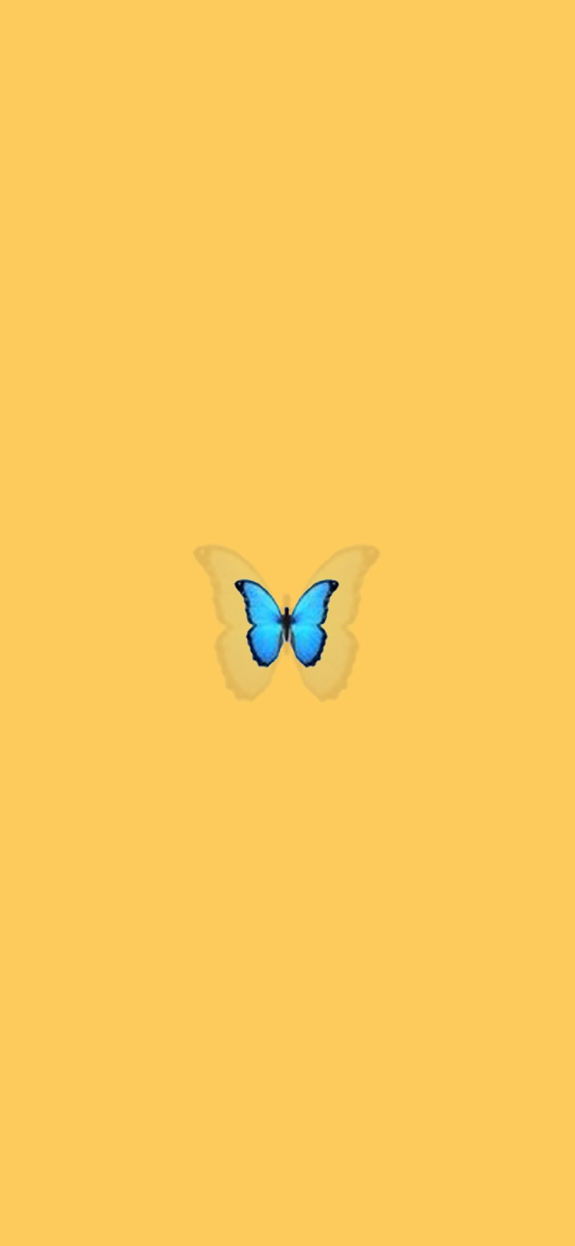 Blue Butterfly Aesthetic Wallpapers Top Free Blue Butterfly Aesthetic
