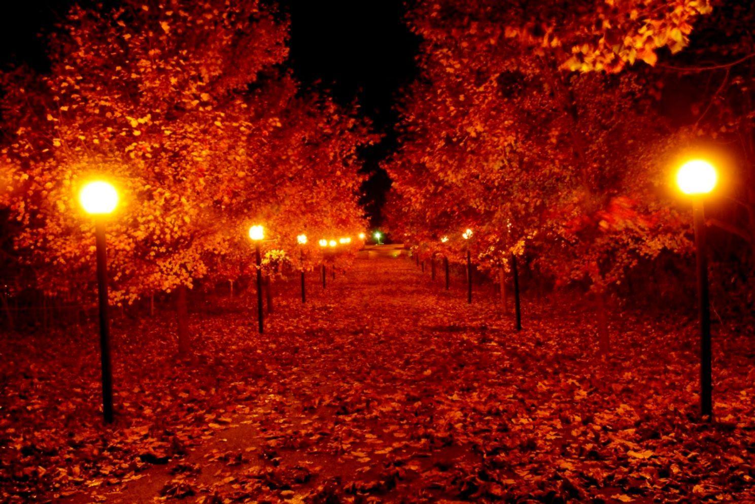 Autumn Night Wallpapers Top Free Autumn Night Backgrounds