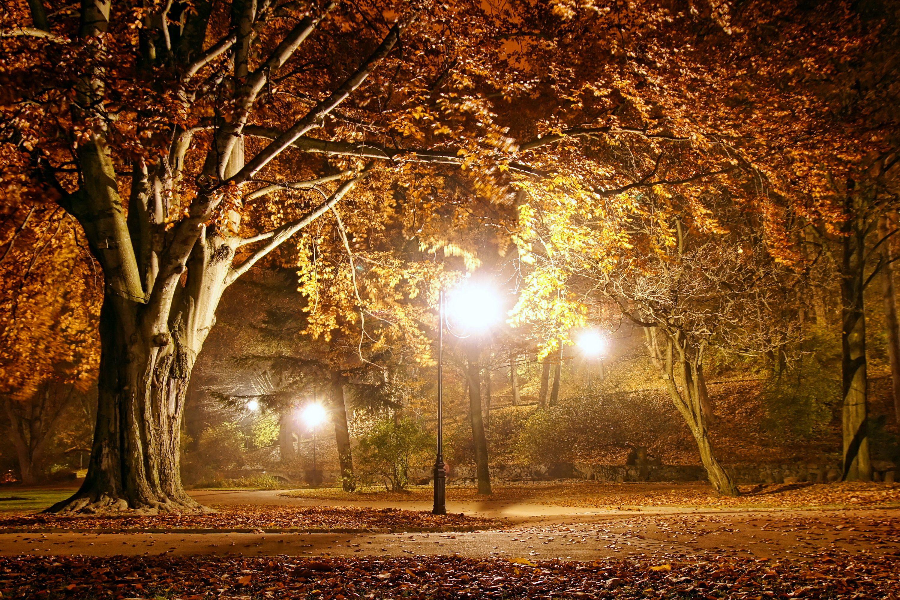 Autumn Night Wallpapers Top Free Autumn Night Backgrounds