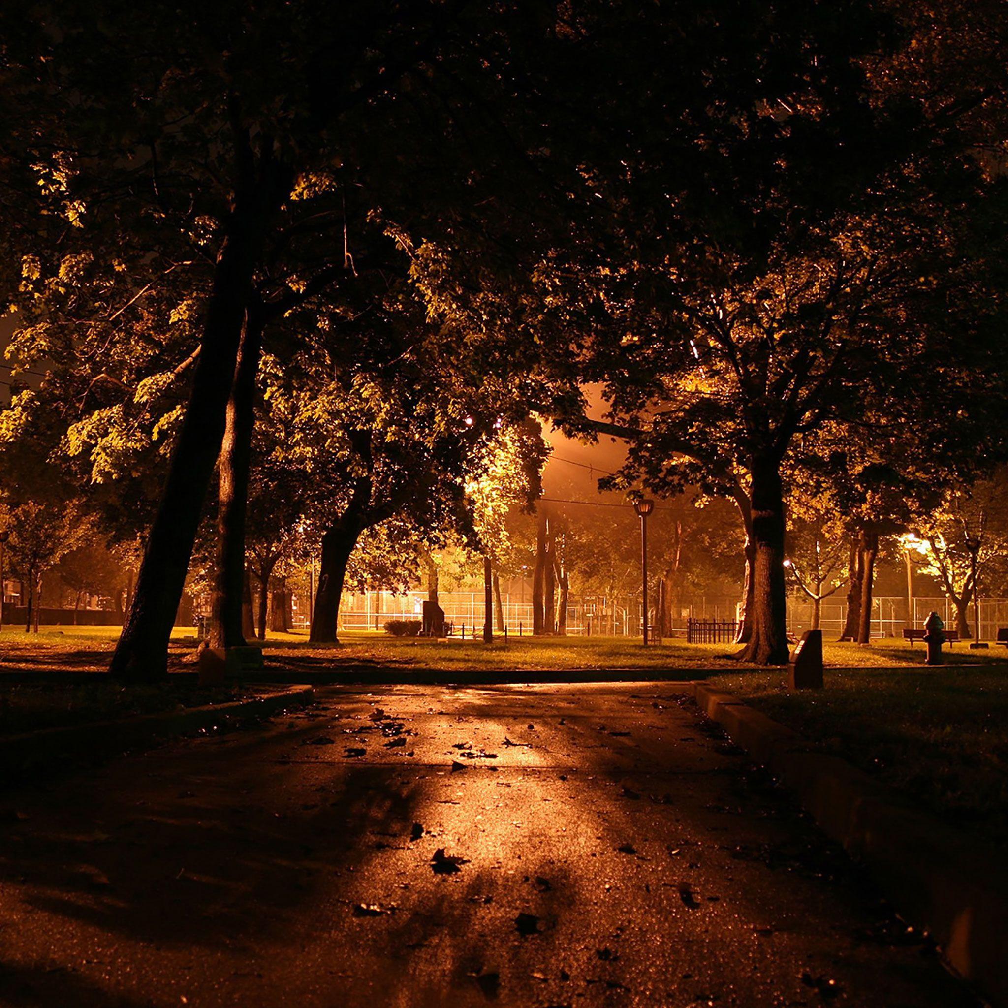 Autumn Night Wallpapers Top Free Autumn Night Backgrounds
