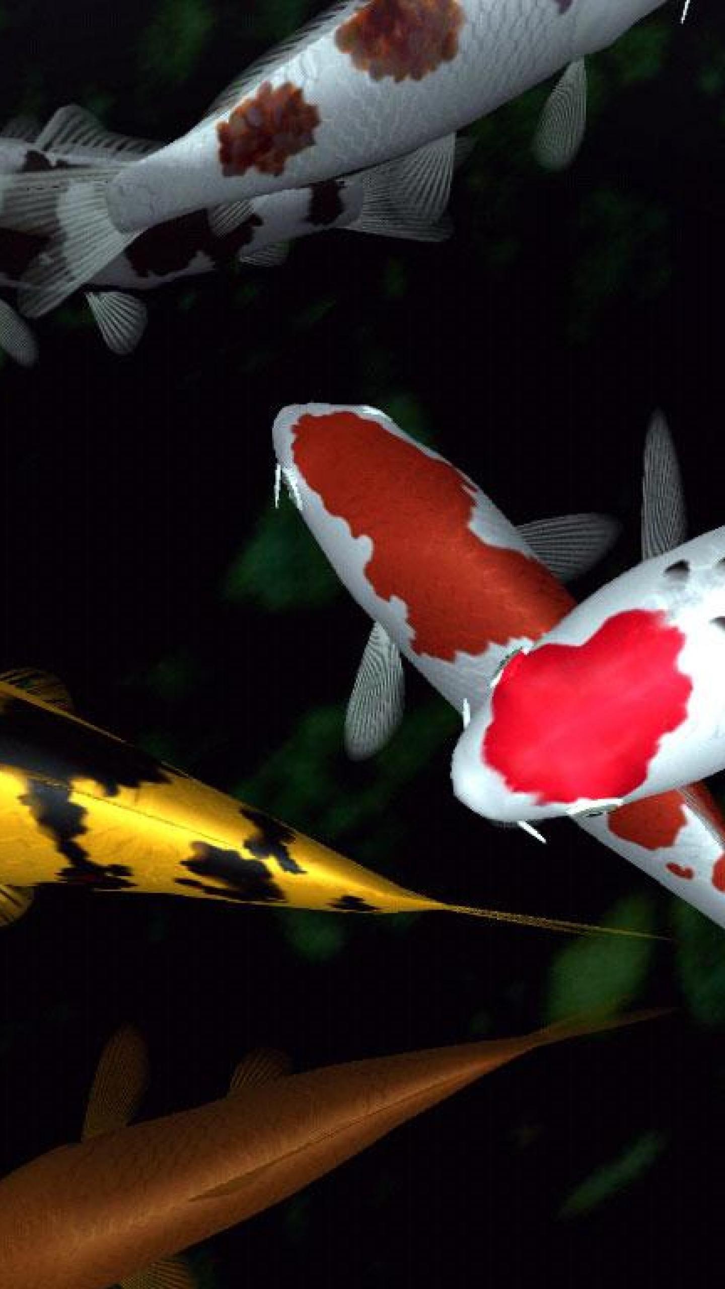 Koi iPhone Wallpapers Top Free Koi iPhone Backgrounds WallpaperAccess