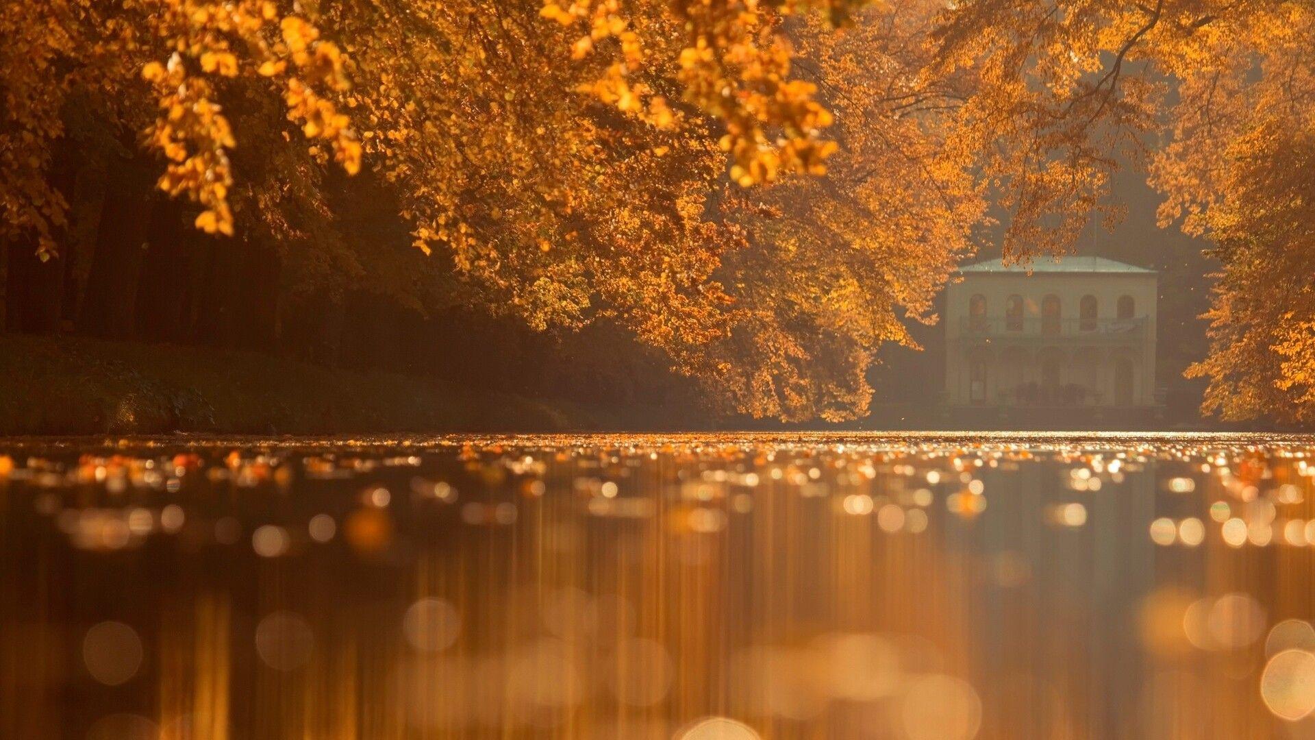 Autumn Night Wallpapers Top Free Autumn Night Backgrounds