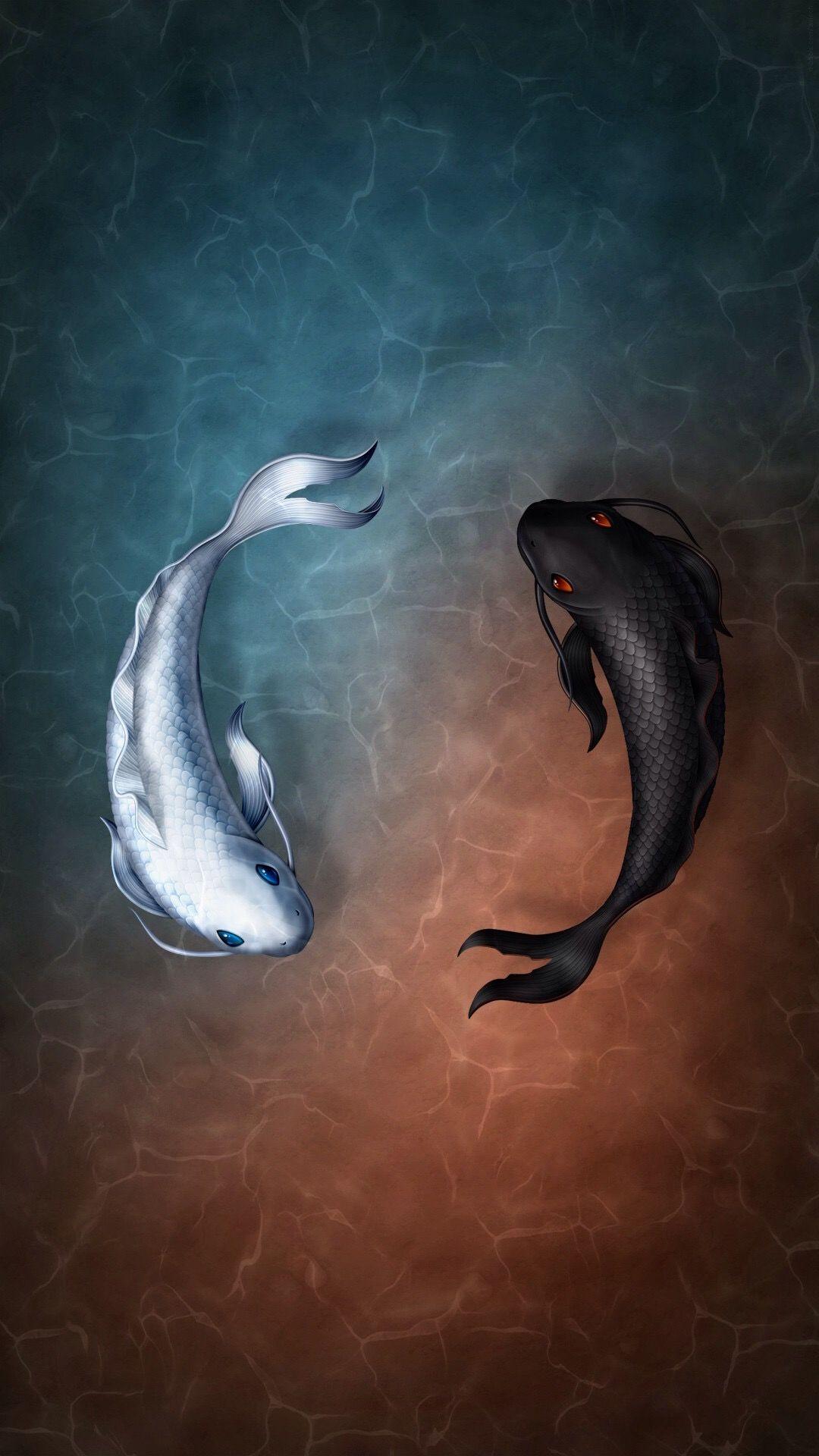 Koi iPhone Wallpapers Top Free Koi iPhone Backgrounds WallpaperAccess
