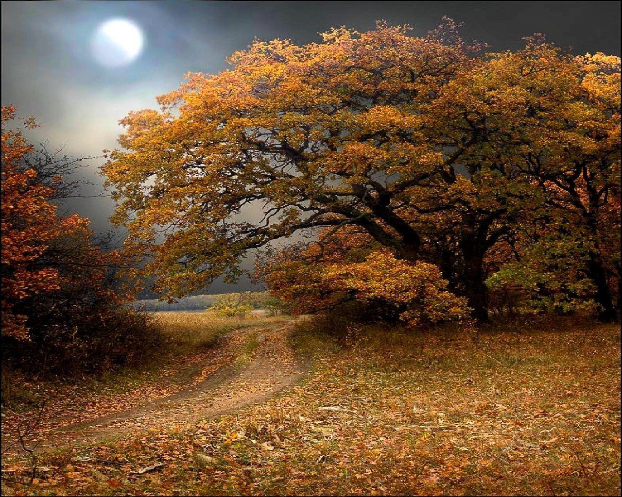 Autumn Night Wallpapers Top Free Autumn Night Backgrounds