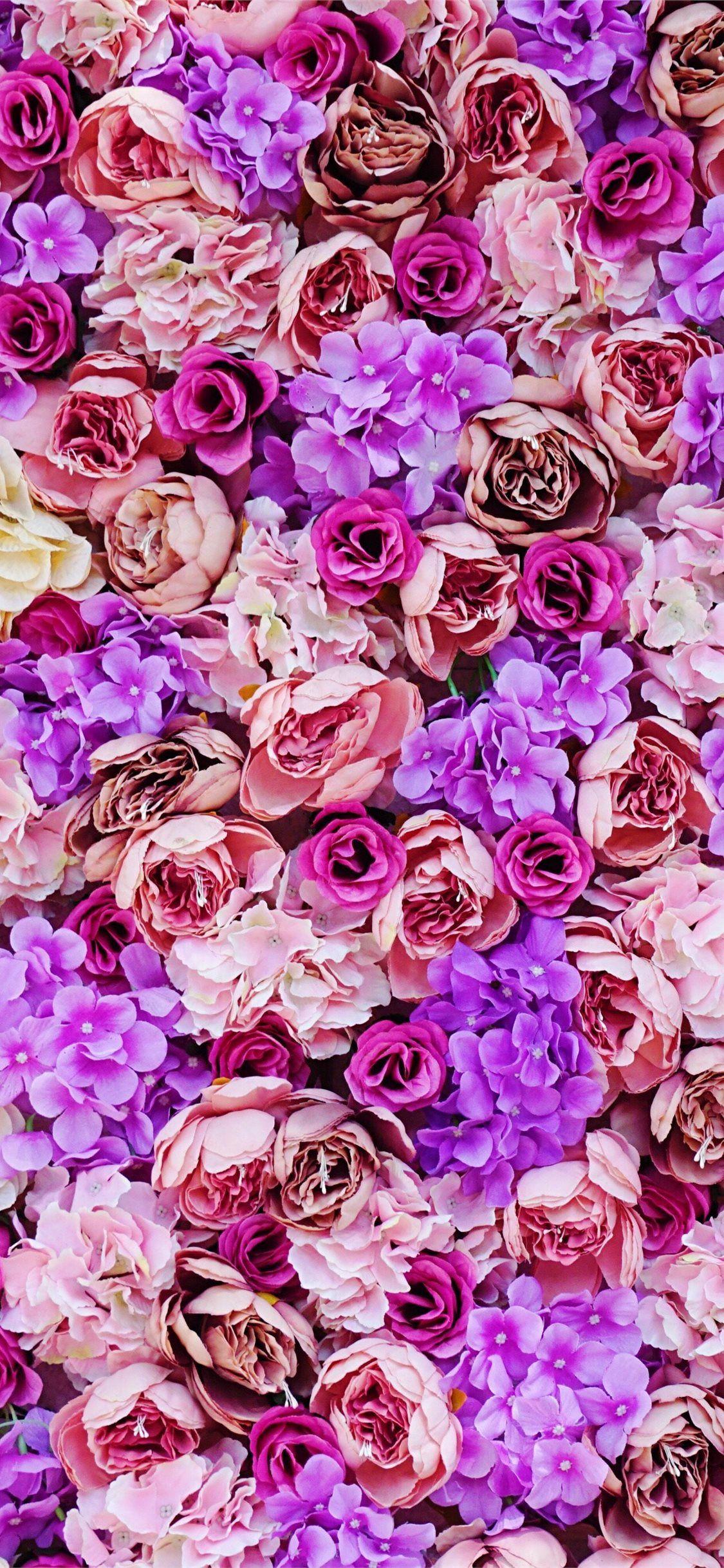 Green and Purple Flowers Wallpapers Top Free Green and Purple Flowers
