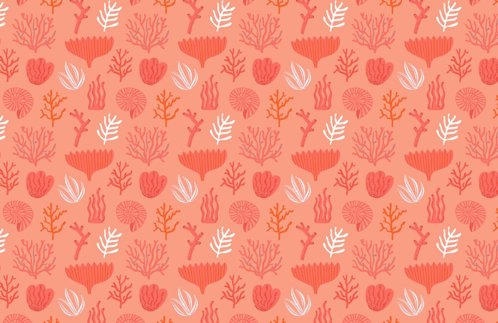 Coral Abstract Wallpapers Top Free Coral Abstract Backgrounds