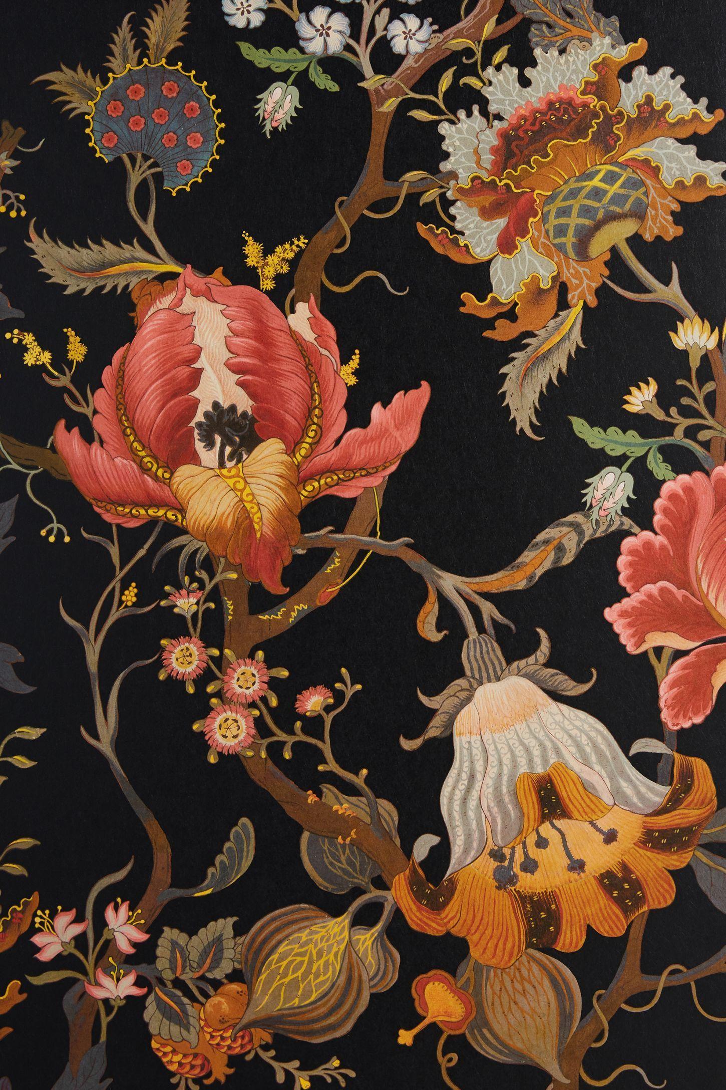 Coral Flower Wallpapers Top Free Coral Flower Backgrounds