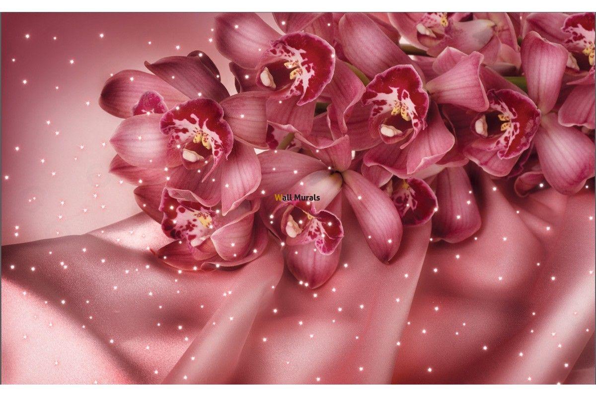 Coral Flower Wallpapers Top Free Coral Flower Backgrounds