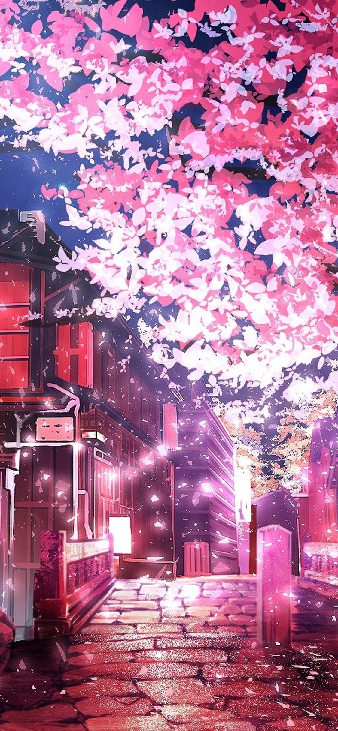 Sakura Trees Anime Aesthetic Cherry Blossom Background Anime 2560x1600 Download Hd Wallpaper