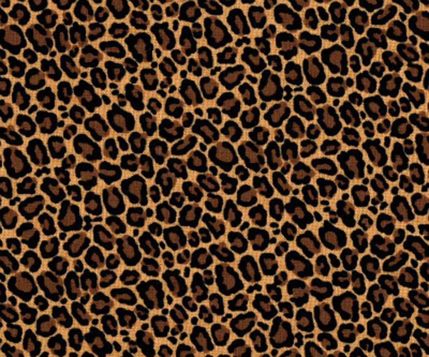 Leopard Print Wallpaper For Bedroom Hd Desktop Wallpapers 4k Hd