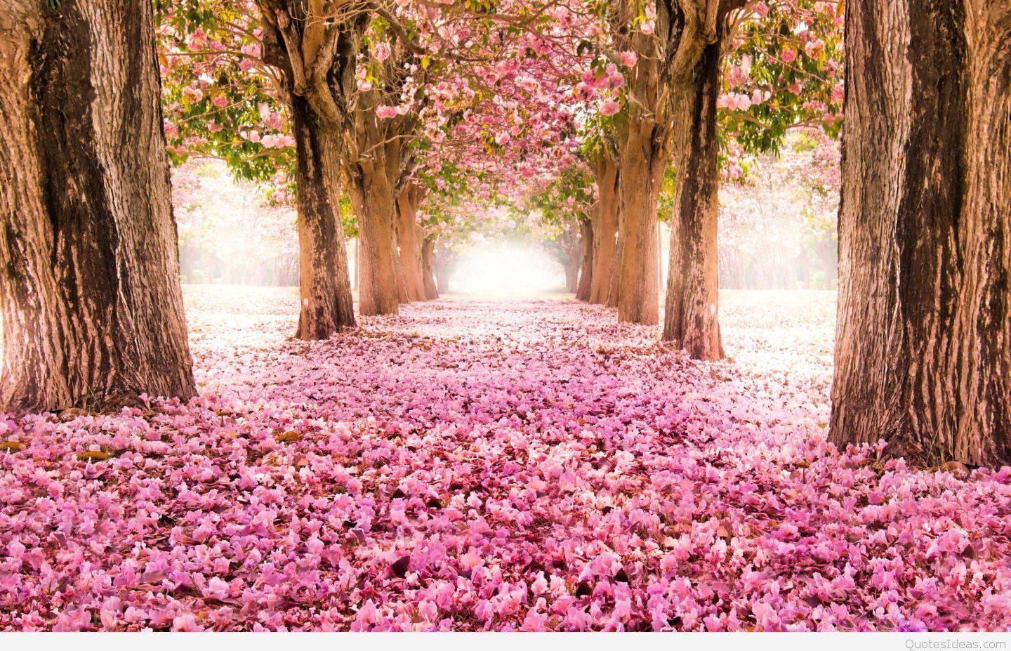 Happy Spring Wallpapers Top Free Happy Spring Backgrounds