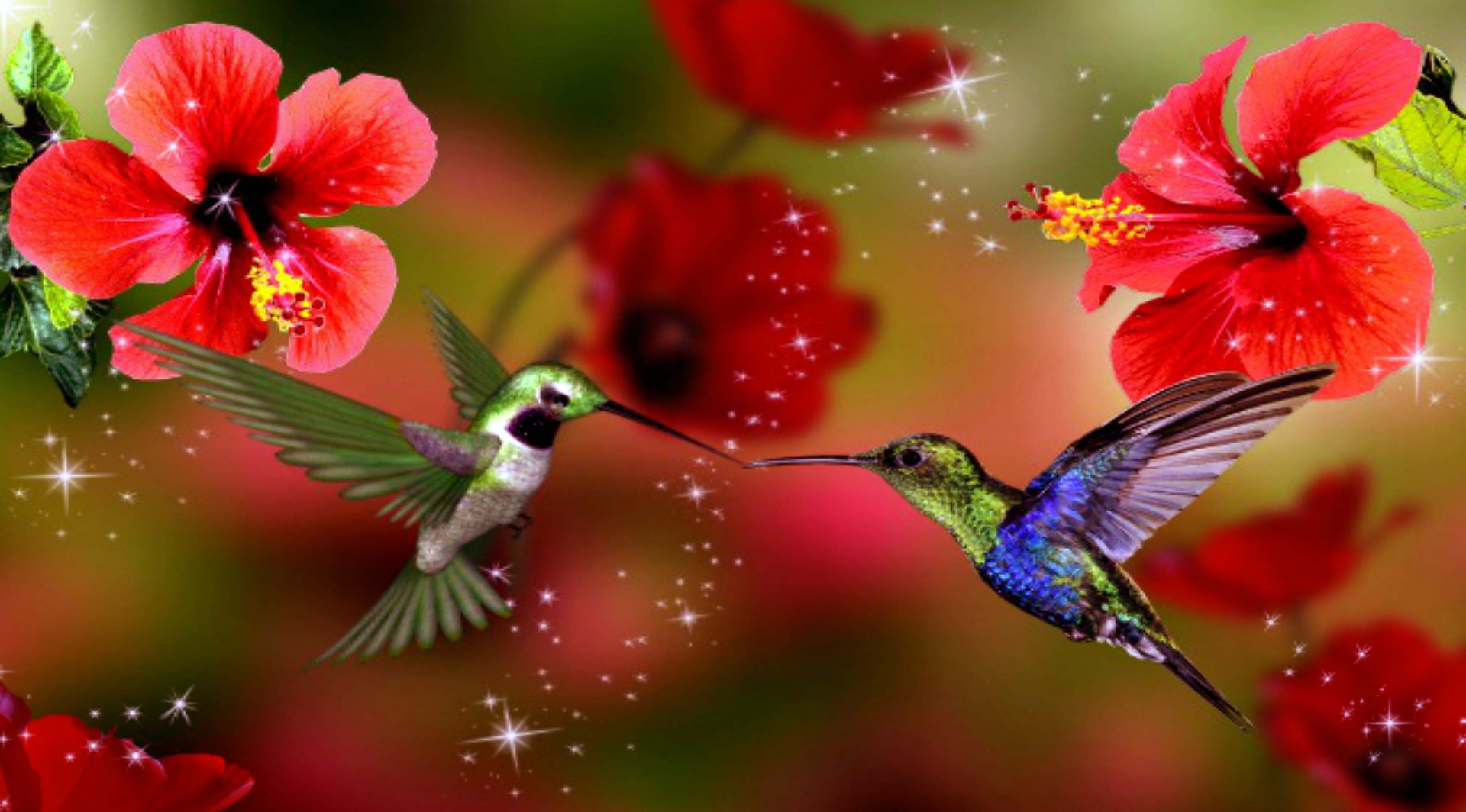 Spring Birds Wallpapers Top Free Spring Birds Backgrounds