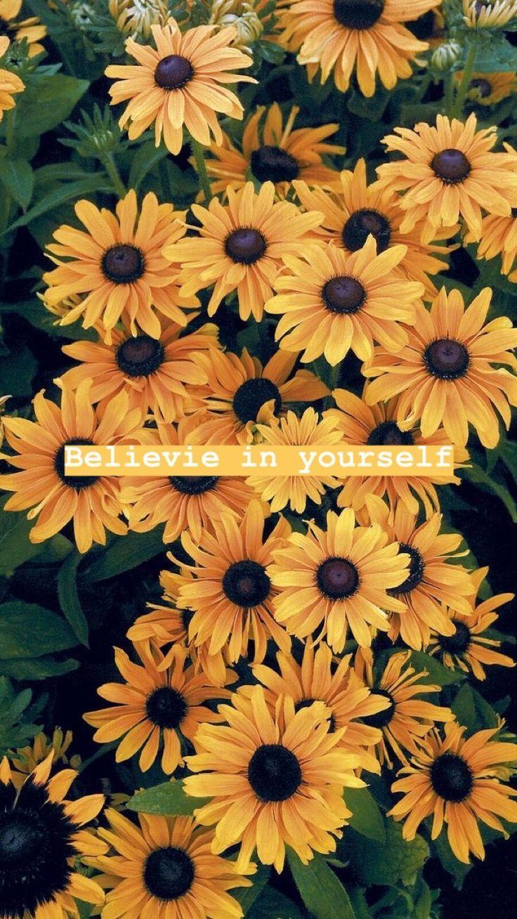 Cute Yellow Flower Aesthetic Wallpapers We hope you enjoy our rising