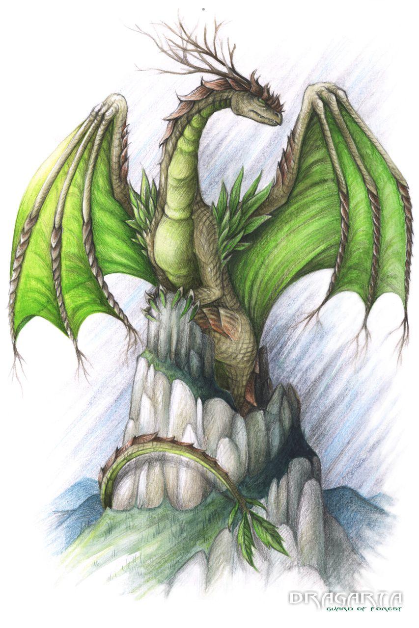 Earth Dragon Wallpapers Top Free Earth Dragon Backgrounds WallpaperAccess