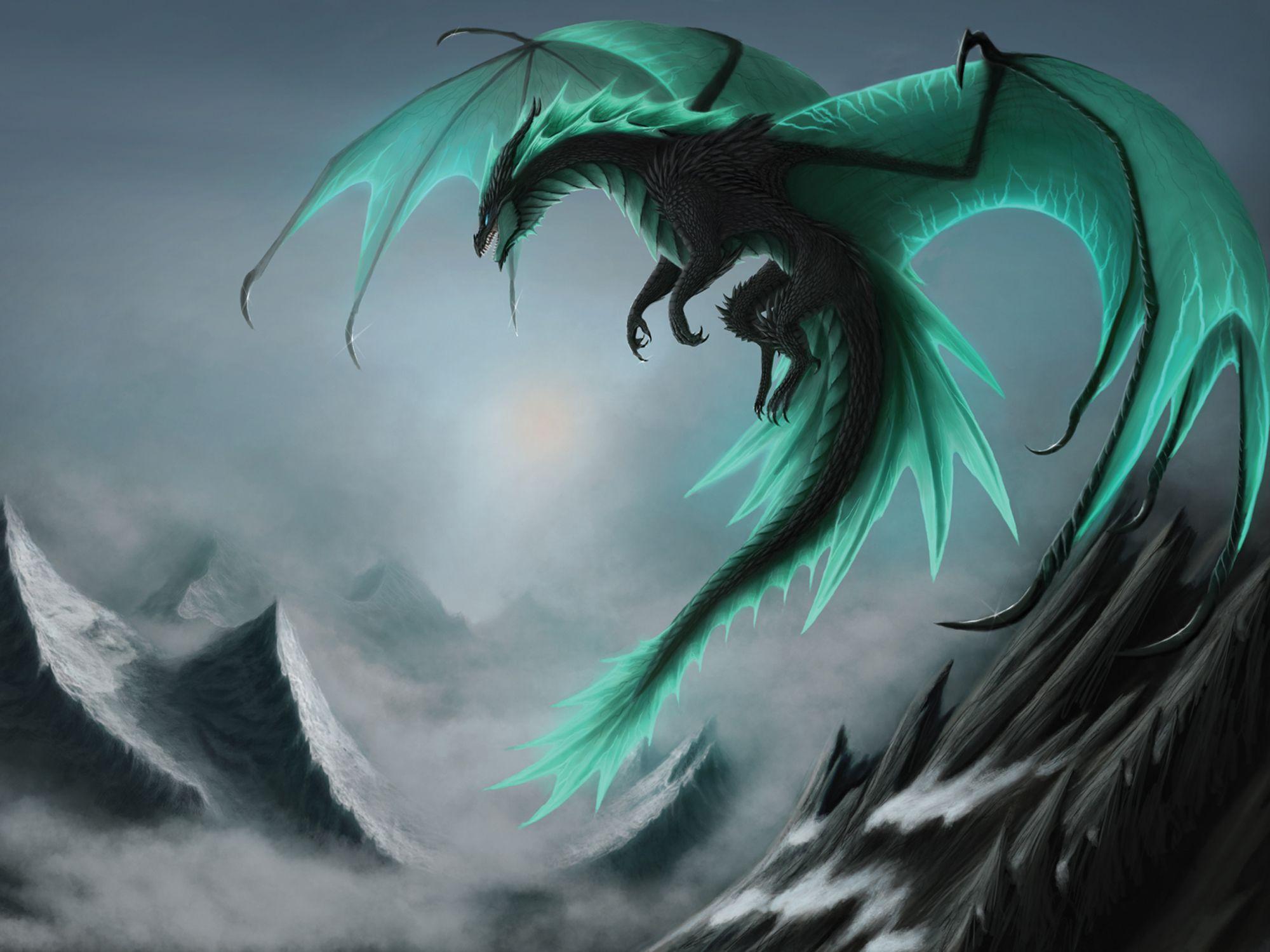 Poison Dragon Wallpapers Top Free Poison Dragon Backgrounds