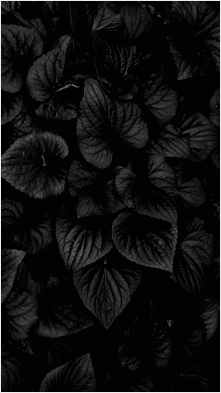 PicZene Black Wallpaper With Leaves