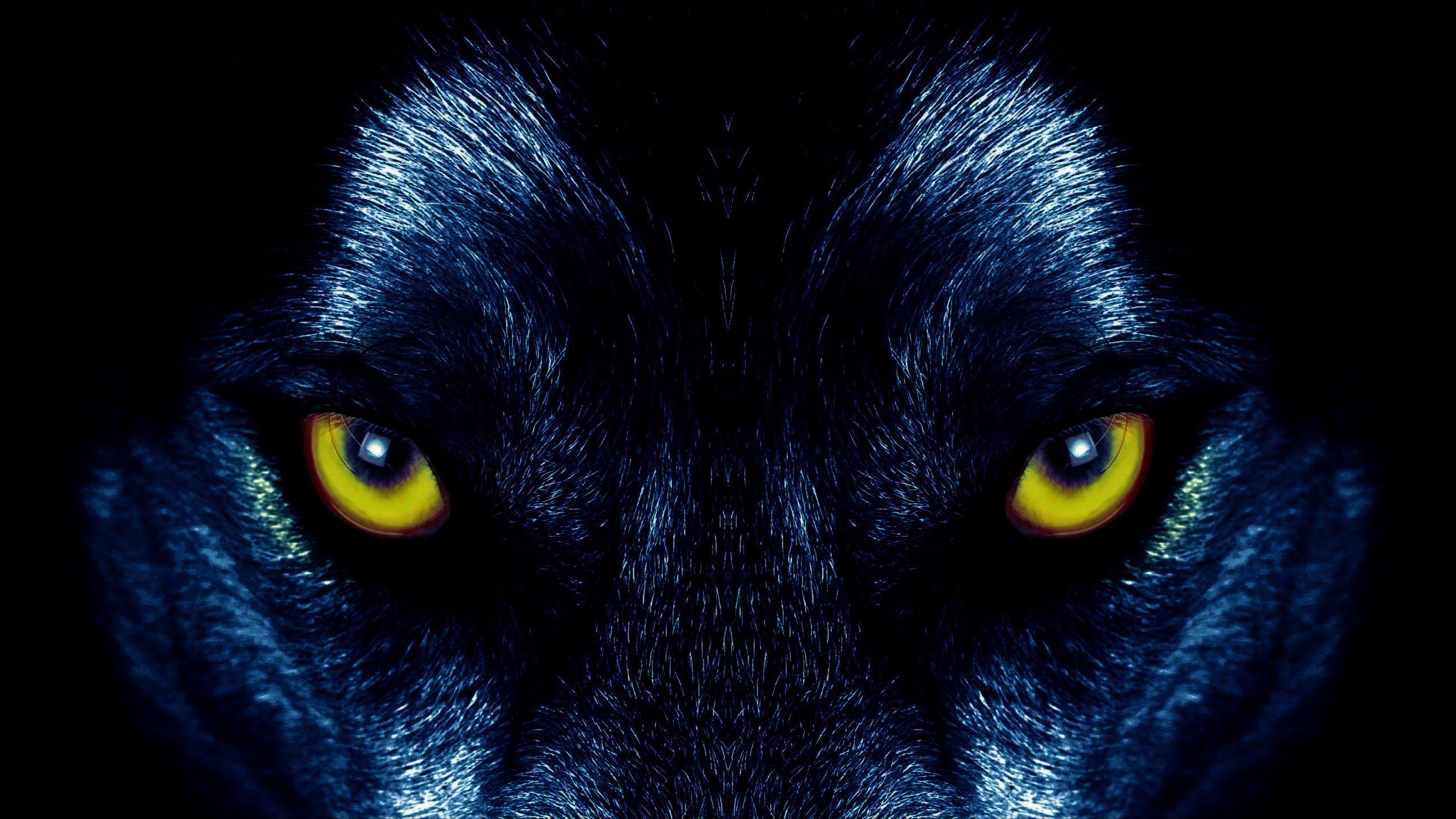 Wolf Eyes Wallpapers Top Free Wolf Eyes Backgrounds WallpaperAccess