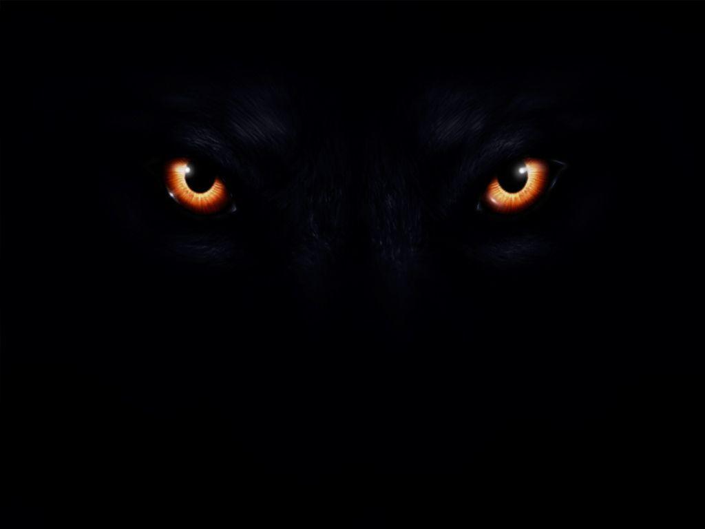Black Wolf With Yellow Eyes Wallpaper