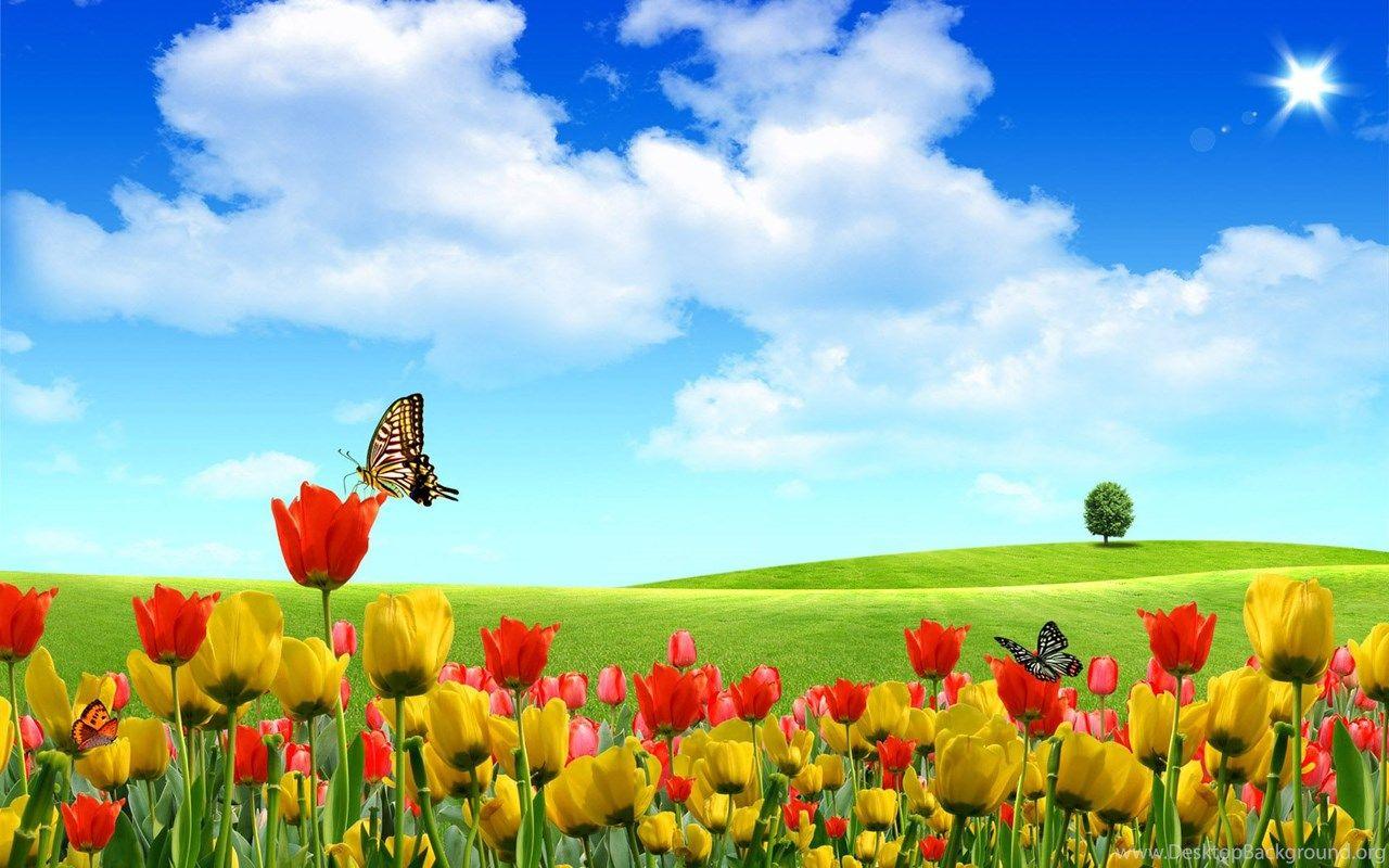 Flower Landscape Wallpapers Top Free Flower Landscape Backgrounds
