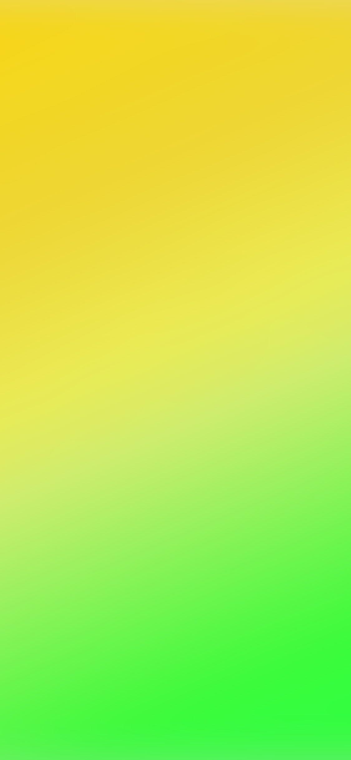 Solid Yellow Wallpapers Top Free Solid Yellow Backgrounds