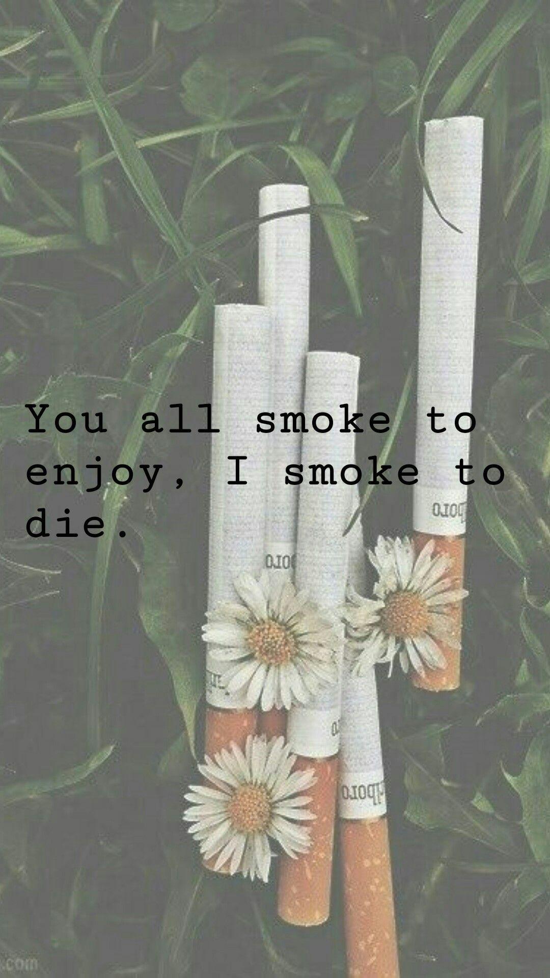 Looking For Alaska Wallpapers Top Free Looking For Alaska Backgrounds