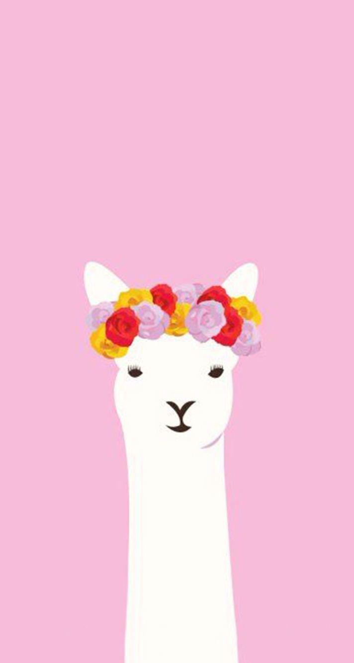 Kawaii Llama Wallpapers Top Free Kawaii Llama Backgrounds