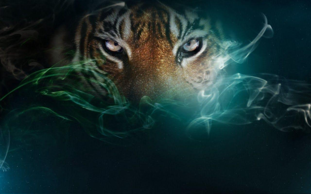 Tiger Eyes Wallpapers Top Free Tiger Eyes Backgrounds WallpaperAccess