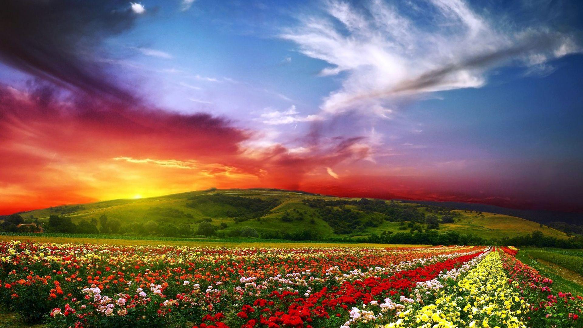 Colorful Landscape Wallpapers Top Free Colorful Landscape Backgrounds WallpaperAccess