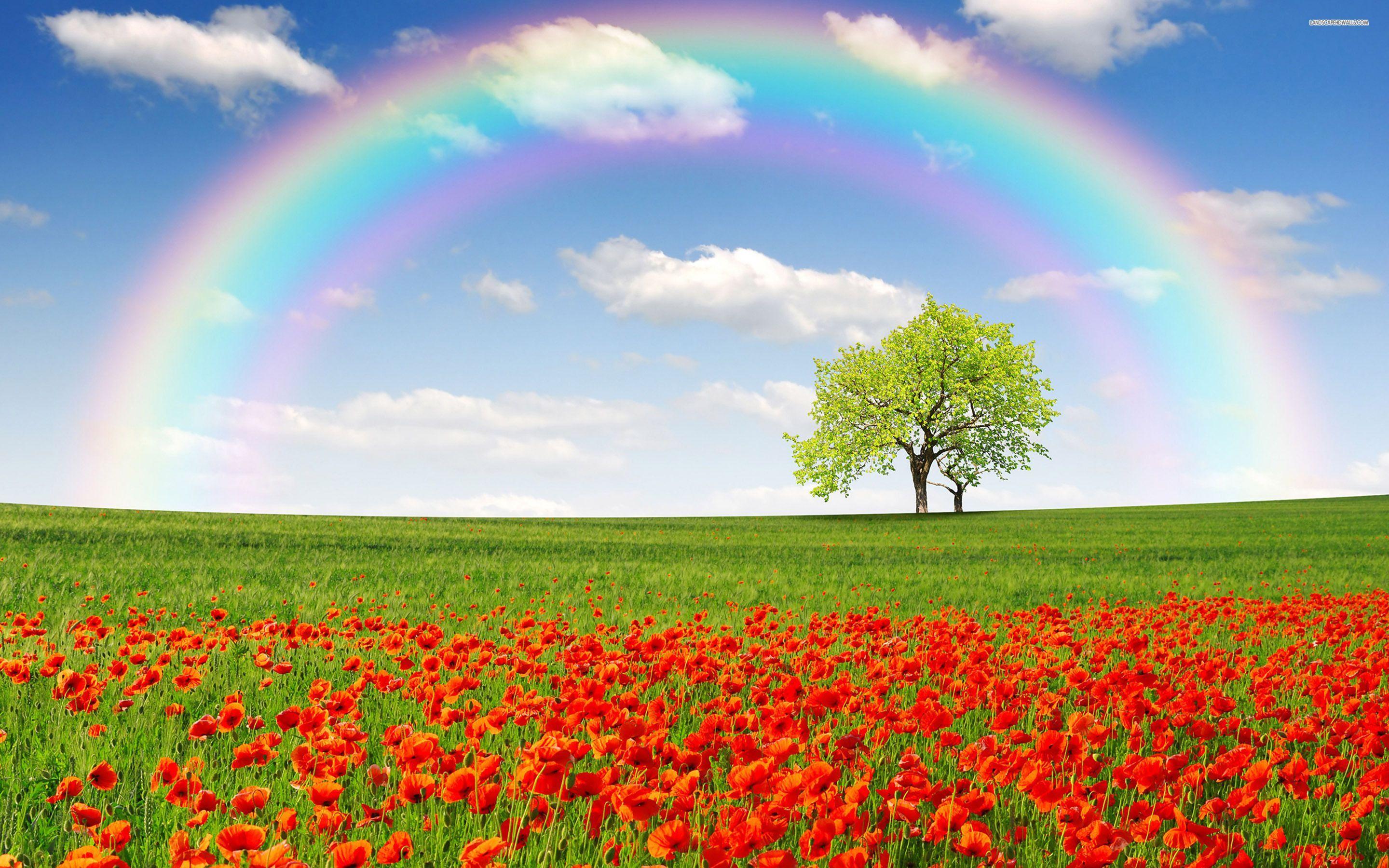 Colorful Landscape Wallpapers Top Free Colorful Landscape Backgrounds