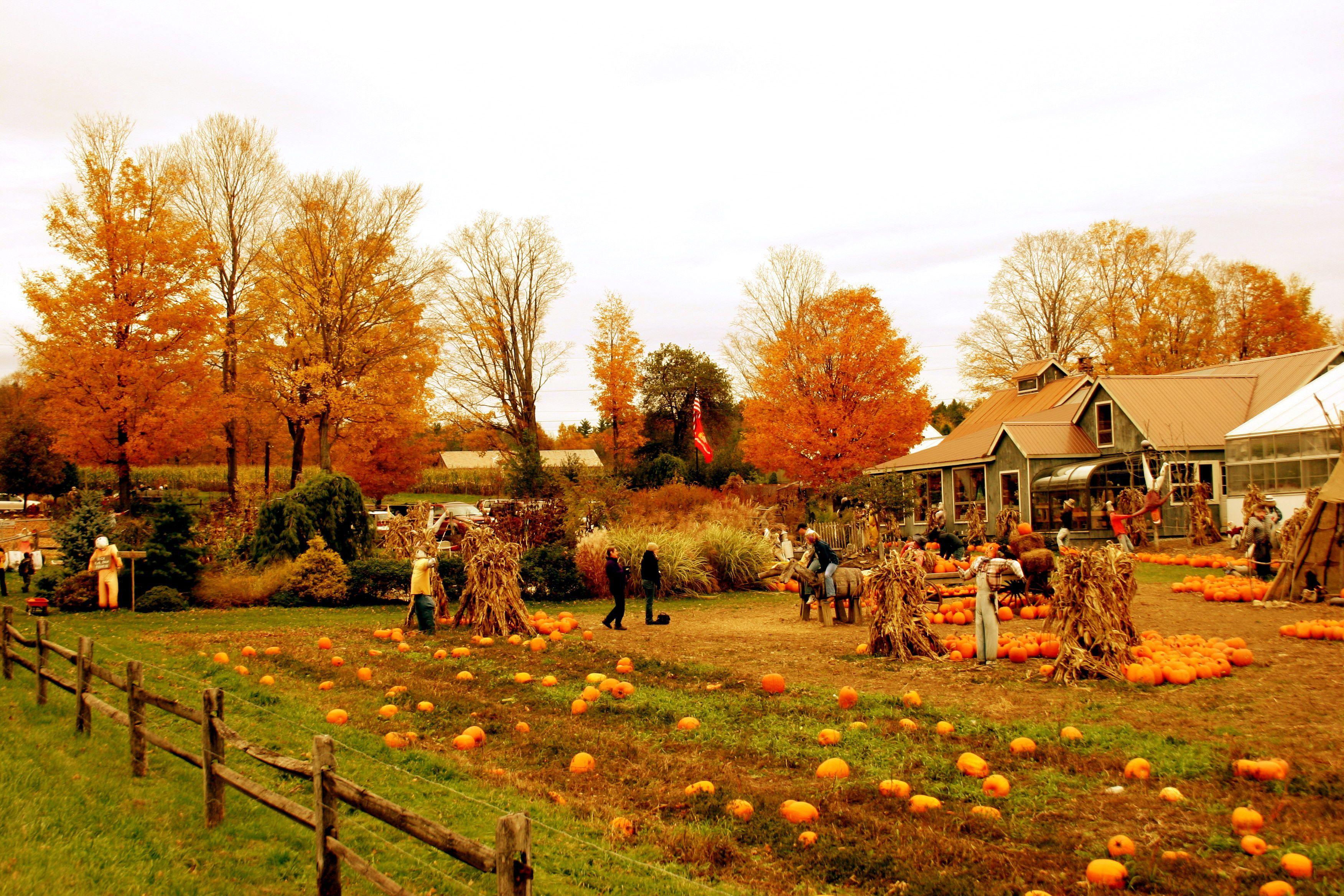 Fall Farm Wallpapers Top Free Fall Farm Backgrounds WallpaperAccess