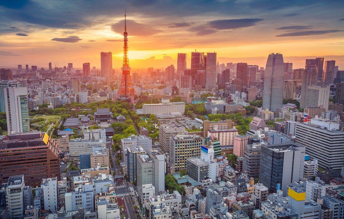 Tokyo Day Wallpapers Top Free Tokyo Day Backgrounds WallpaperAccess