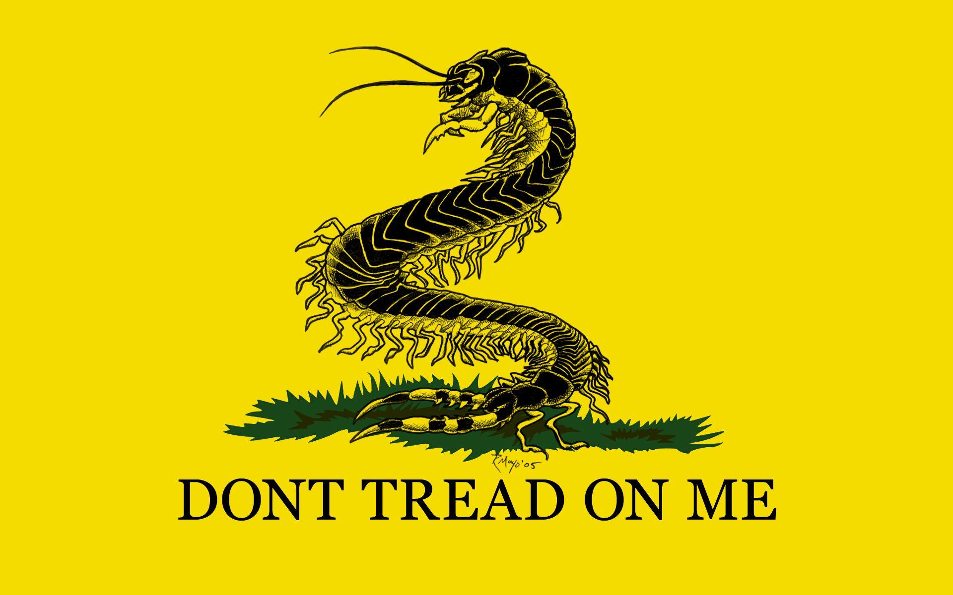 Gadsden Flag Wallpaper