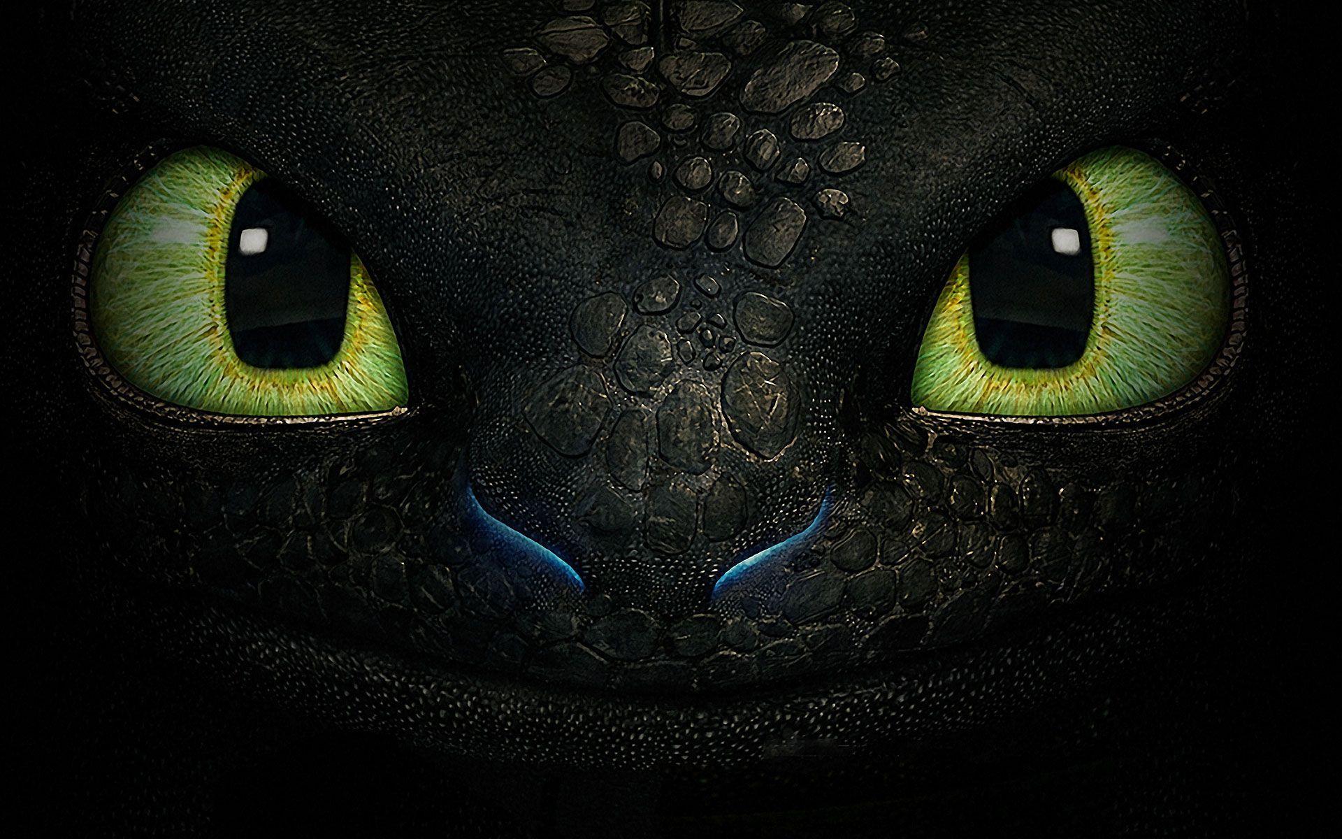 How to Train Your Dragon Toothless Wallpapers Top Free How to Train