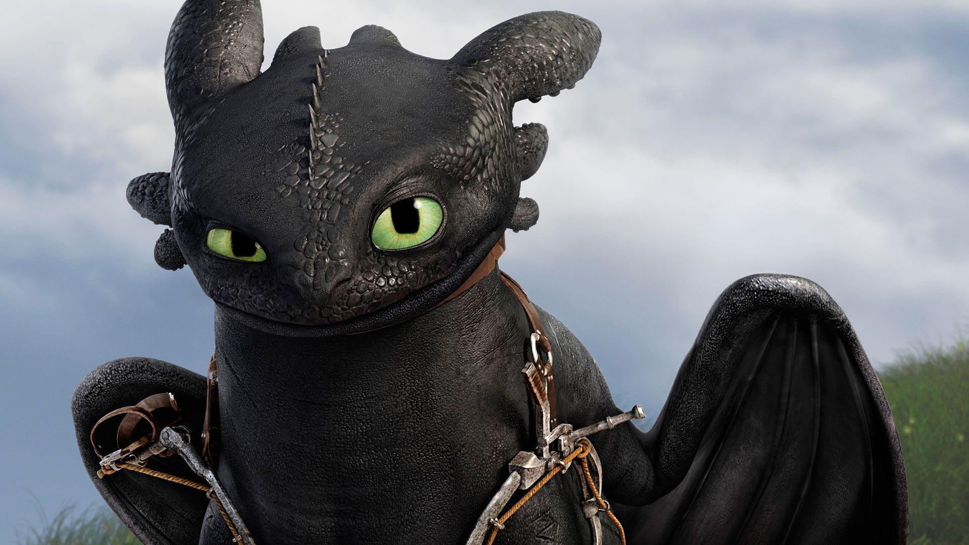 How to Train Your Dragon Toothless Wallpapers Top Free How to Train