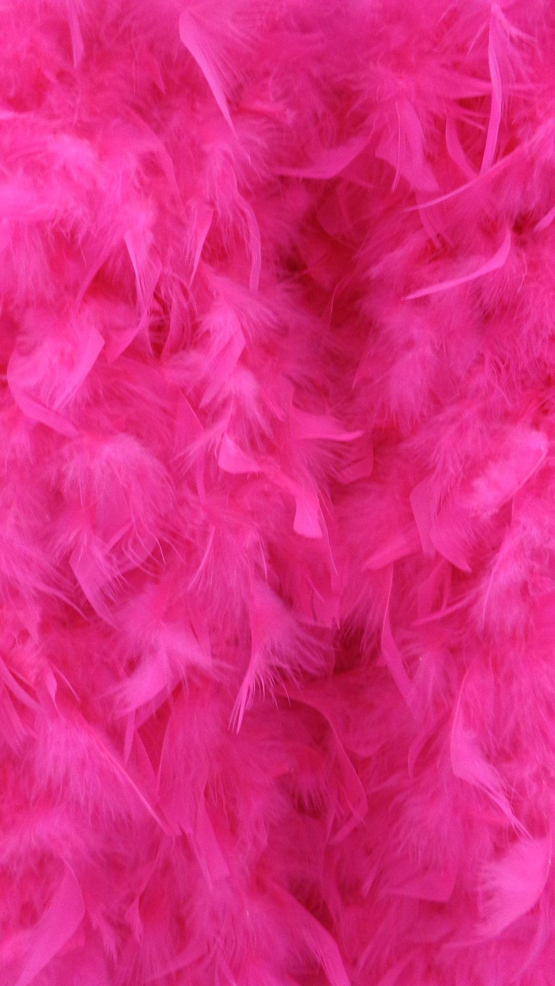 Pink Feathers Wallpapers Top Free Pink Feathers Backgrounds