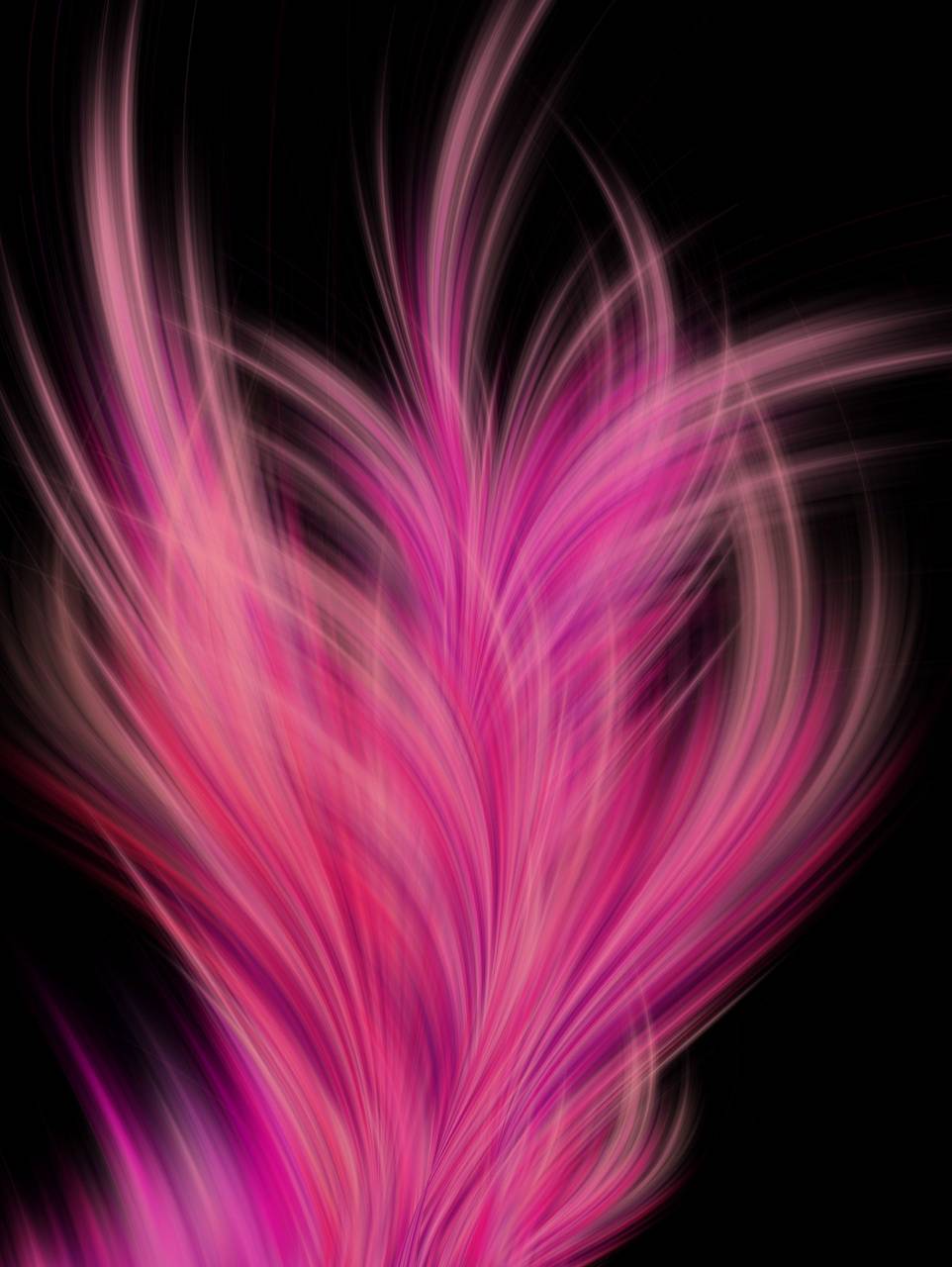 Pink Feathers Wallpapers Top Free Pink Feathers Backgrounds WallpaperAccess
