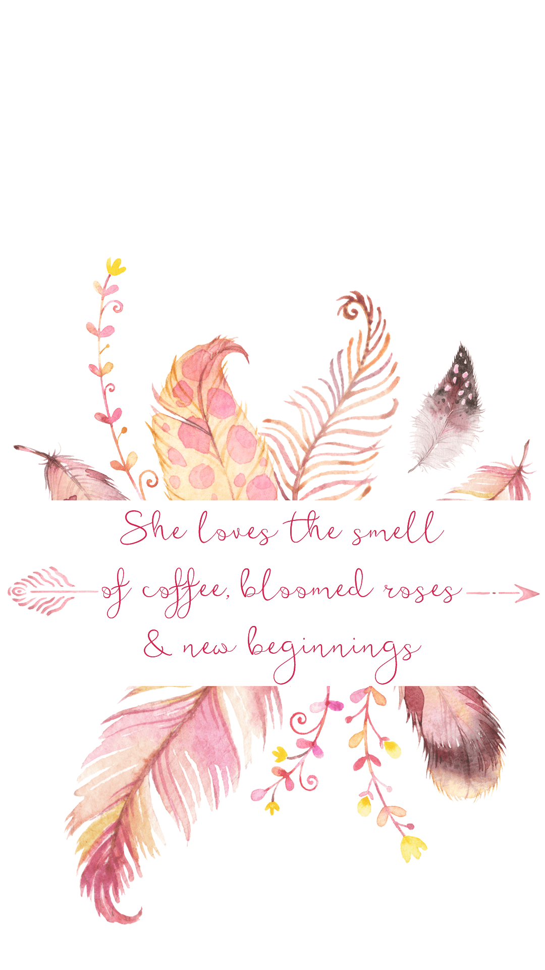 Pink Feathers Wallpapers Top Free Pink Feathers Backgrounds