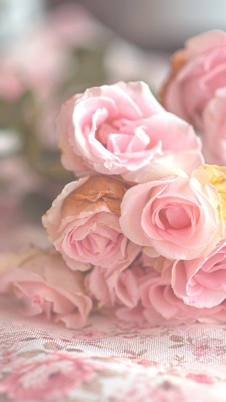 Pastel Pink Floral Wallpapers Top Free Pastel Pink Floral Backgrounds