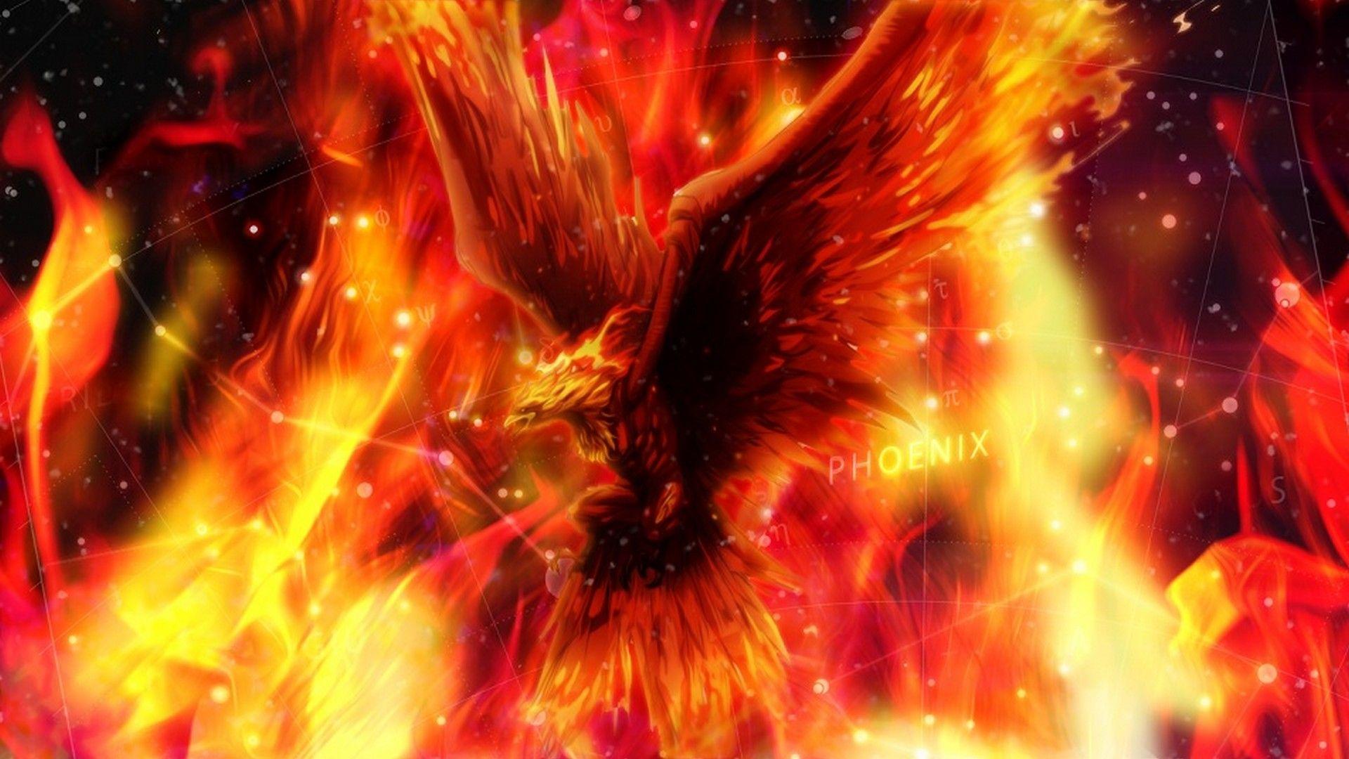 Red Phoenix Wallpapers Top Free Red Phoenix Backgrounds