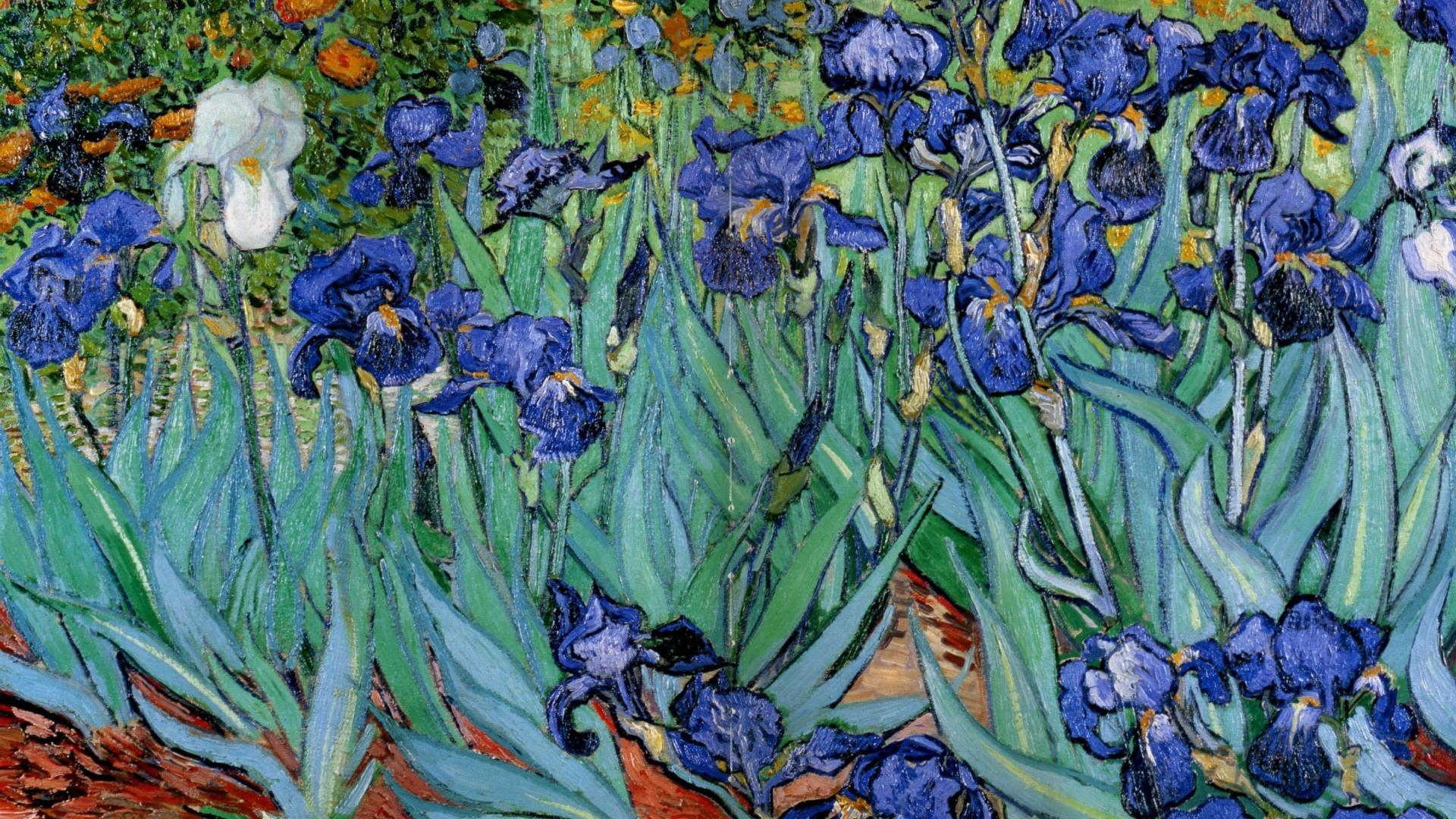 Van Gogh Wallpapers Top Free Van Gogh Backgrounds WallpaperAccess