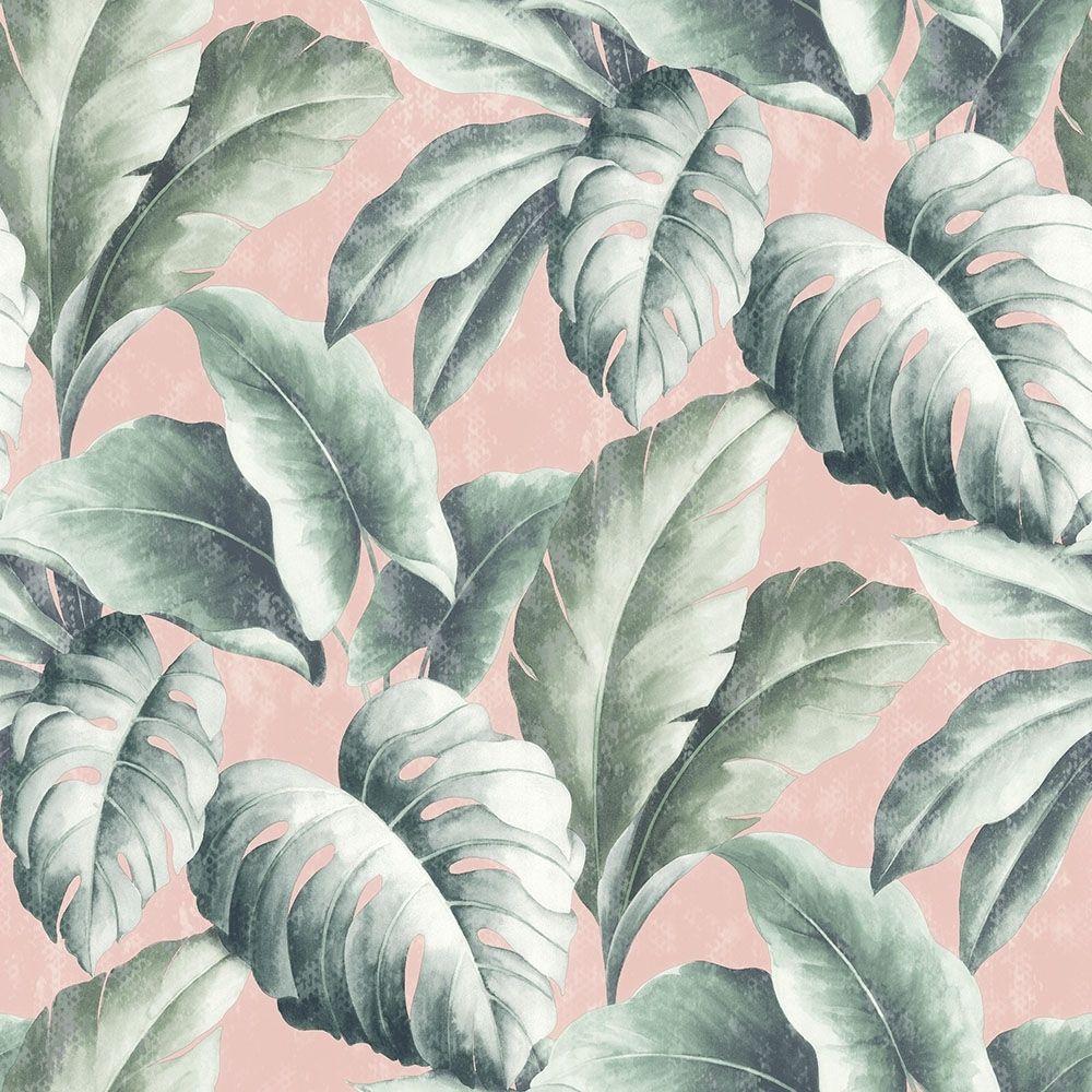 Pink Tropical Leaves Wallpapers Top Free Pink Tropical Leaves
