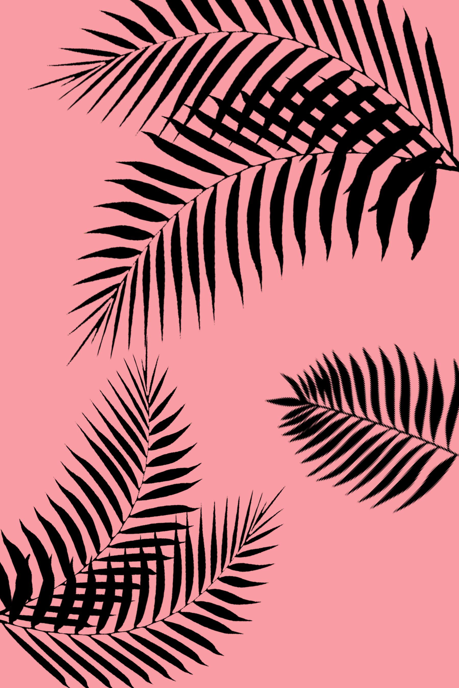 Pink Leaf Wallpapers Top Free Pink Leaf Backgrounds WallpaperAccess