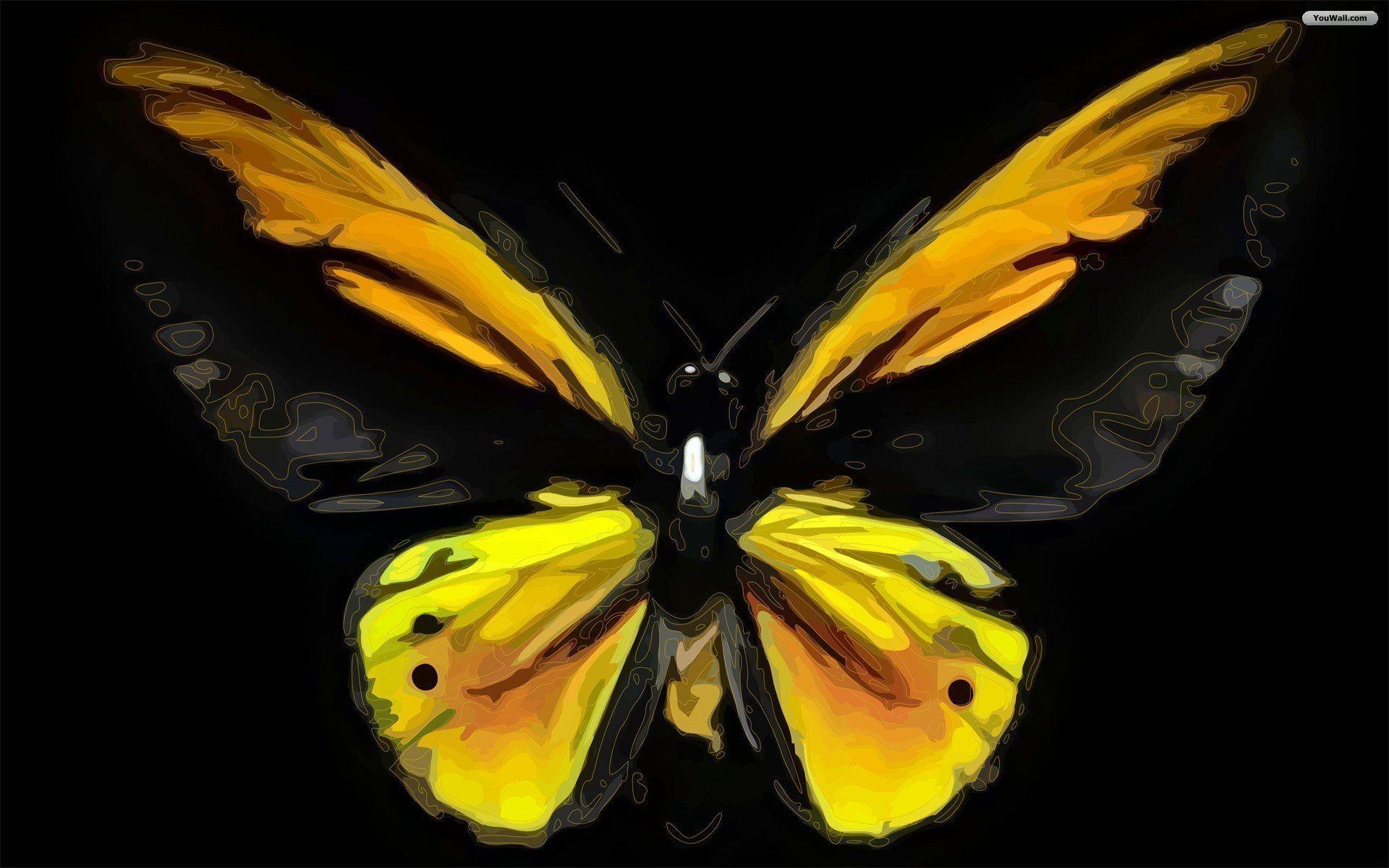 Cute Yellow Butterflies Wallpapers Top Free Cute Yellow Butterflies