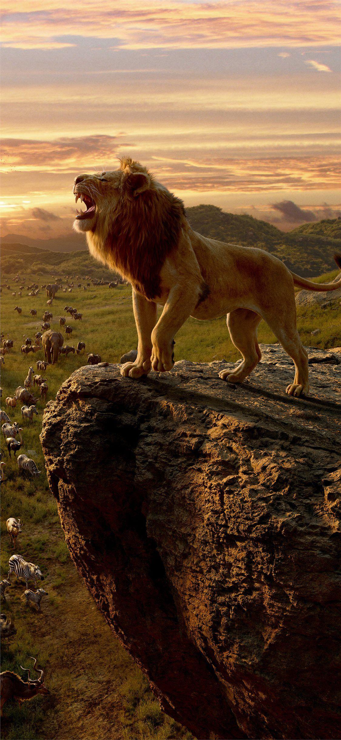 Cute Lion iPhone Wallpapers Top Free Cute Lion iPhone Backgrounds