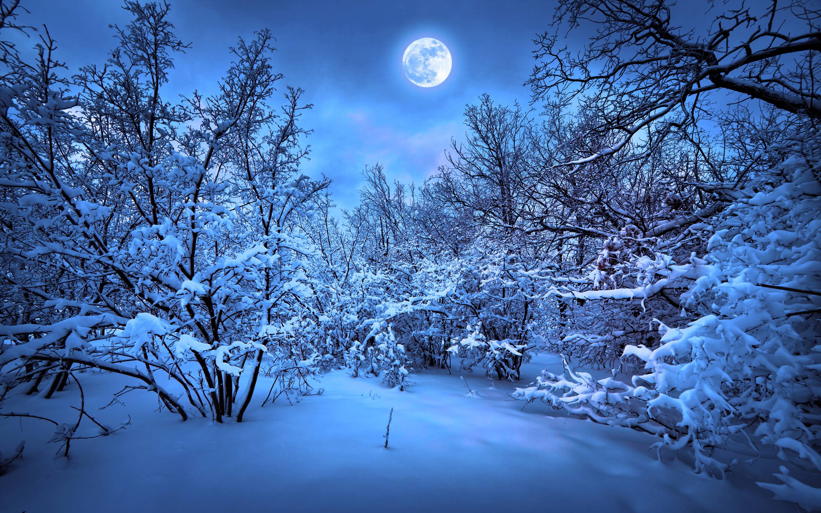Blue Winter Wallpapers Top Free Blue Winter Backgrounds WallpaperAccess
