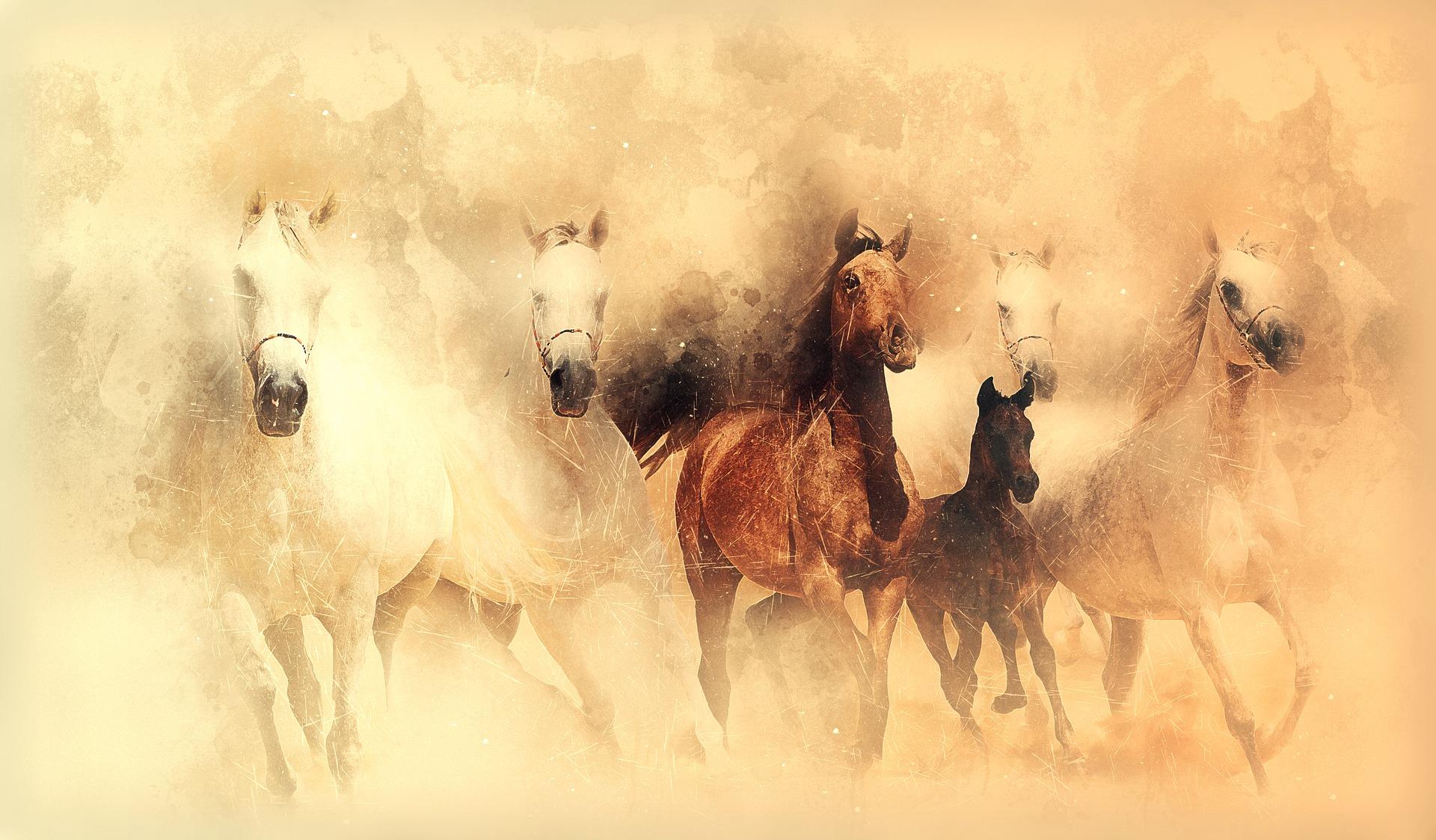 Horse Painting Wallpapers Top Free Horse Painting Backgrounds WallpaperAccess