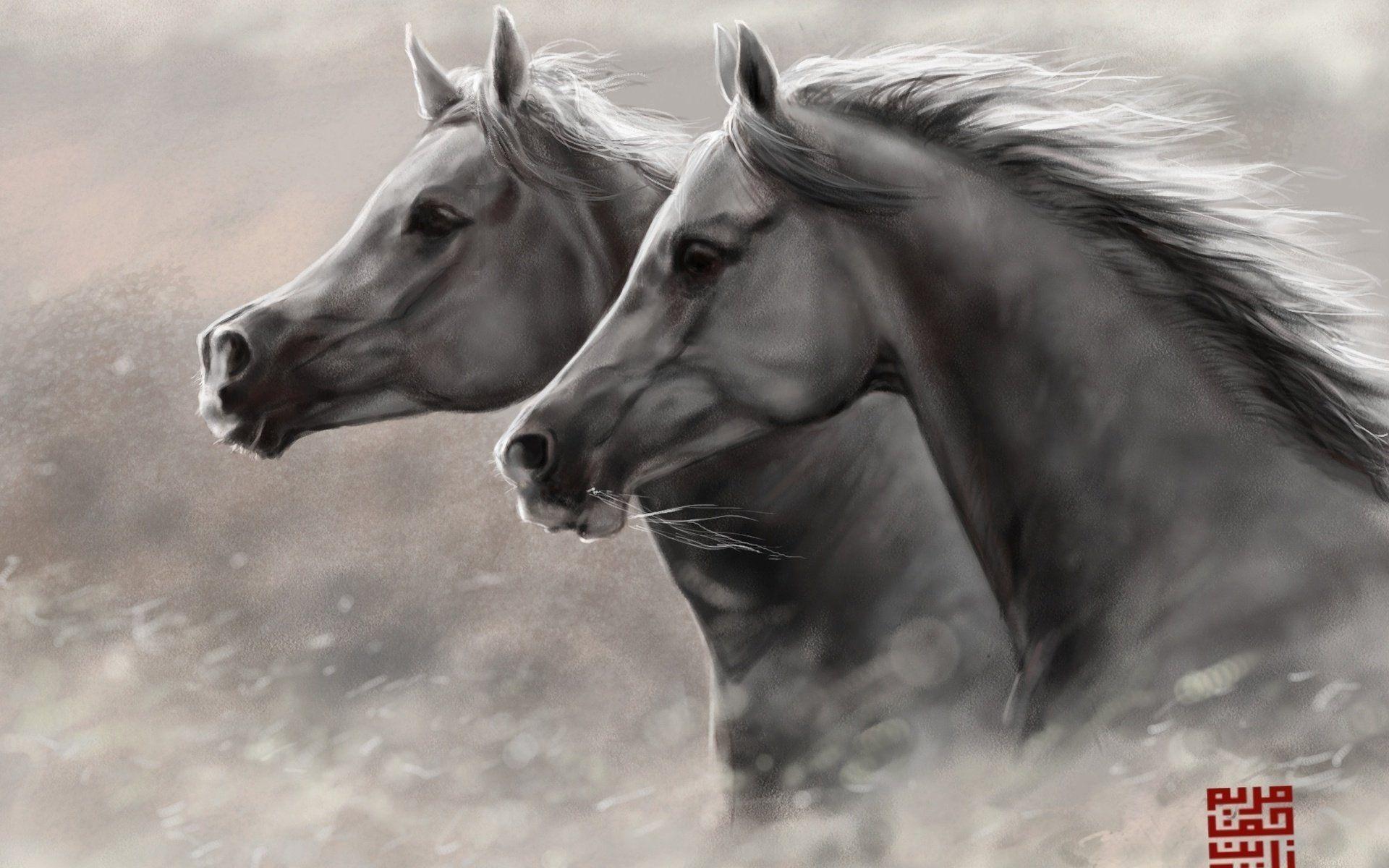 Horse Painting Wallpapers Top Free Horse Painting Backgrounds WallpaperAccess