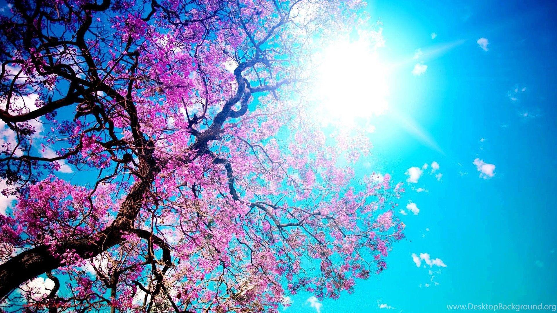 Good Mood Wallpapers Top Free Good Mood Backgrounds WallpaperAccess