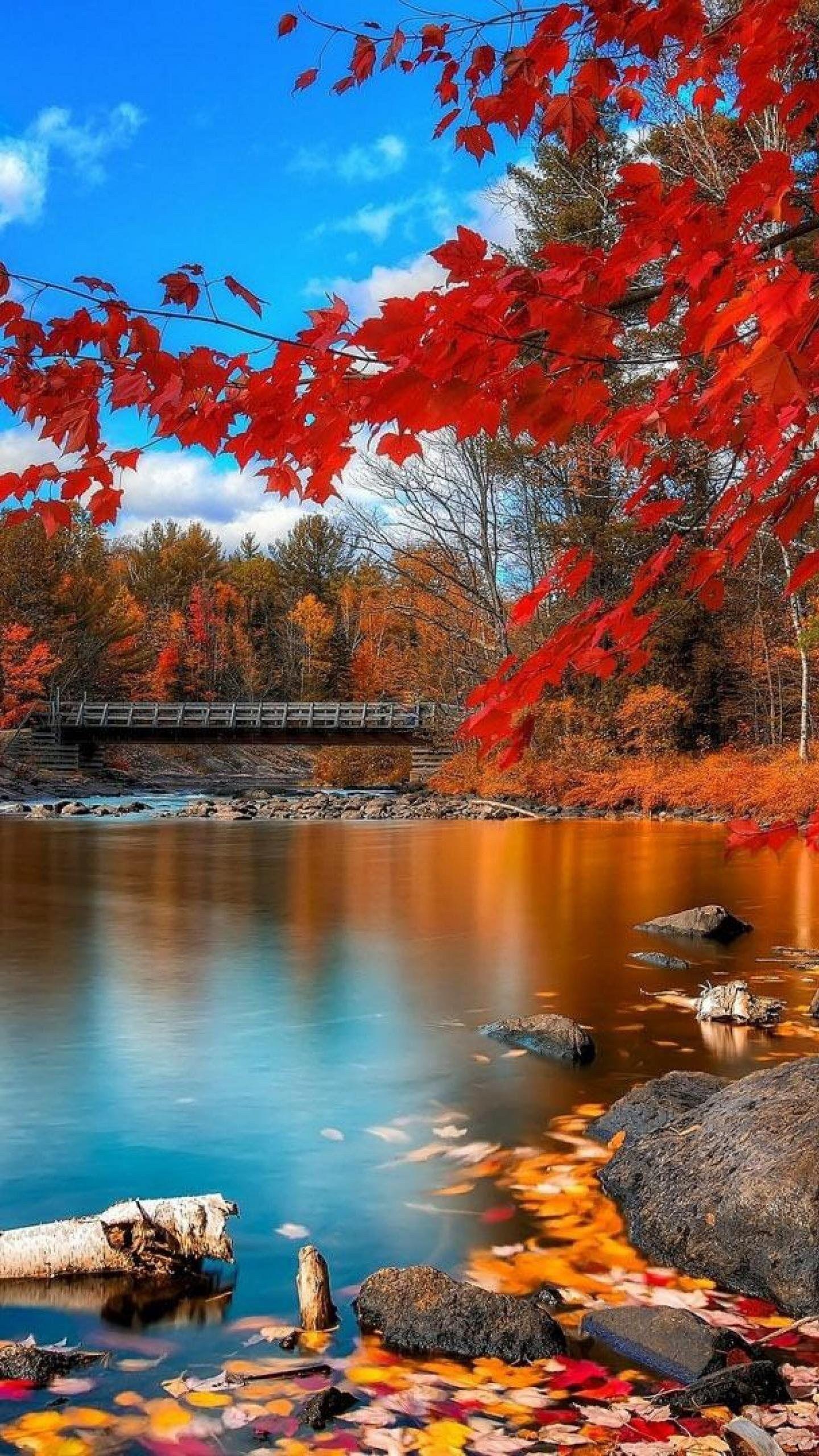 iPhone Nature Wallpapers Top Free iPhone Nature Backgrounds