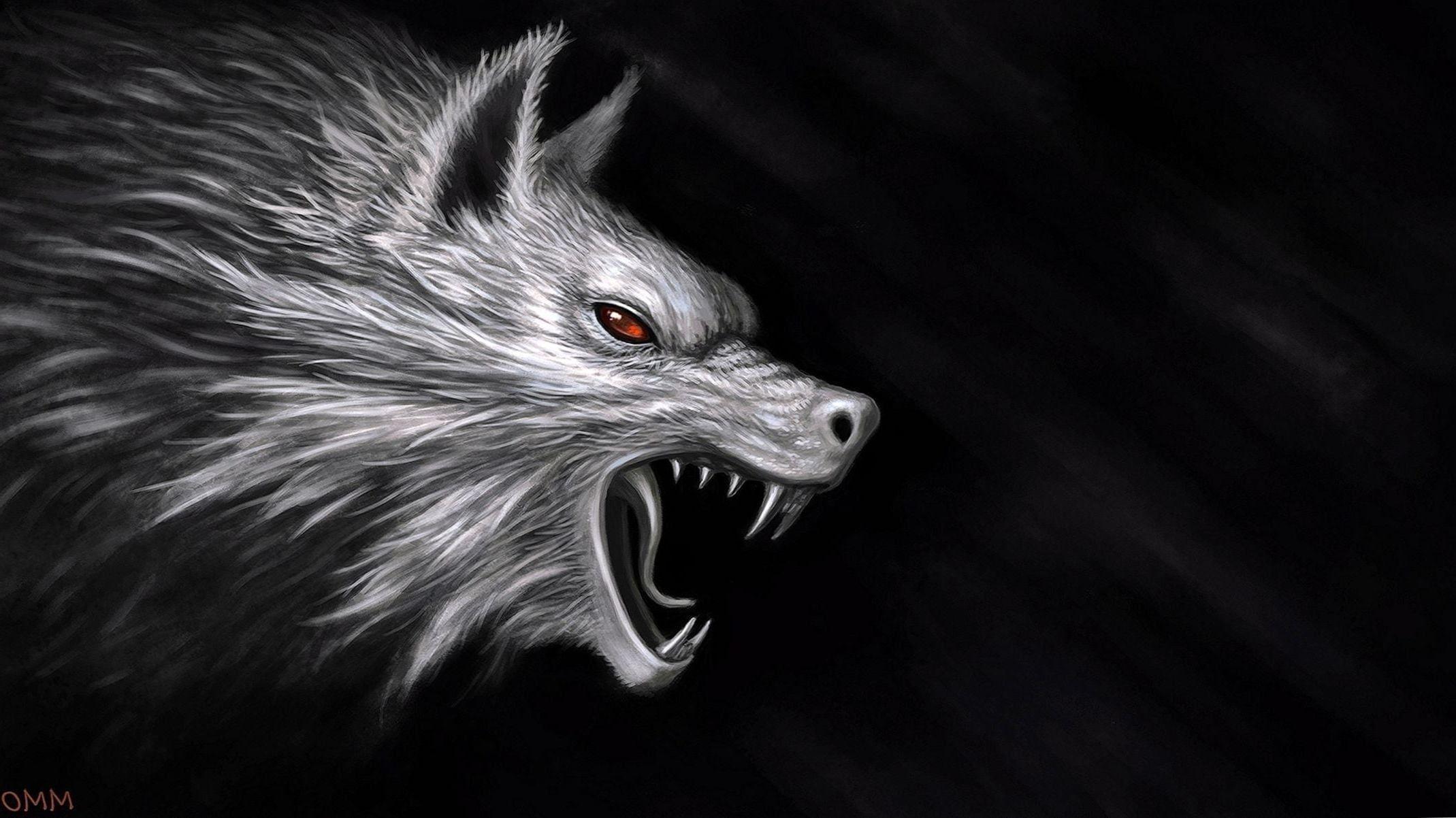 Black Wolf 4K Wallpapers Top Free Black Wolf 4K Backgrounds